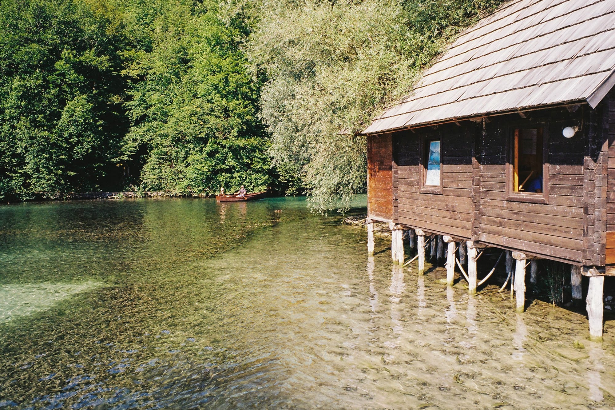 A calm, clear body of water, surrounded by lush greenery in Plitvice National Park.
