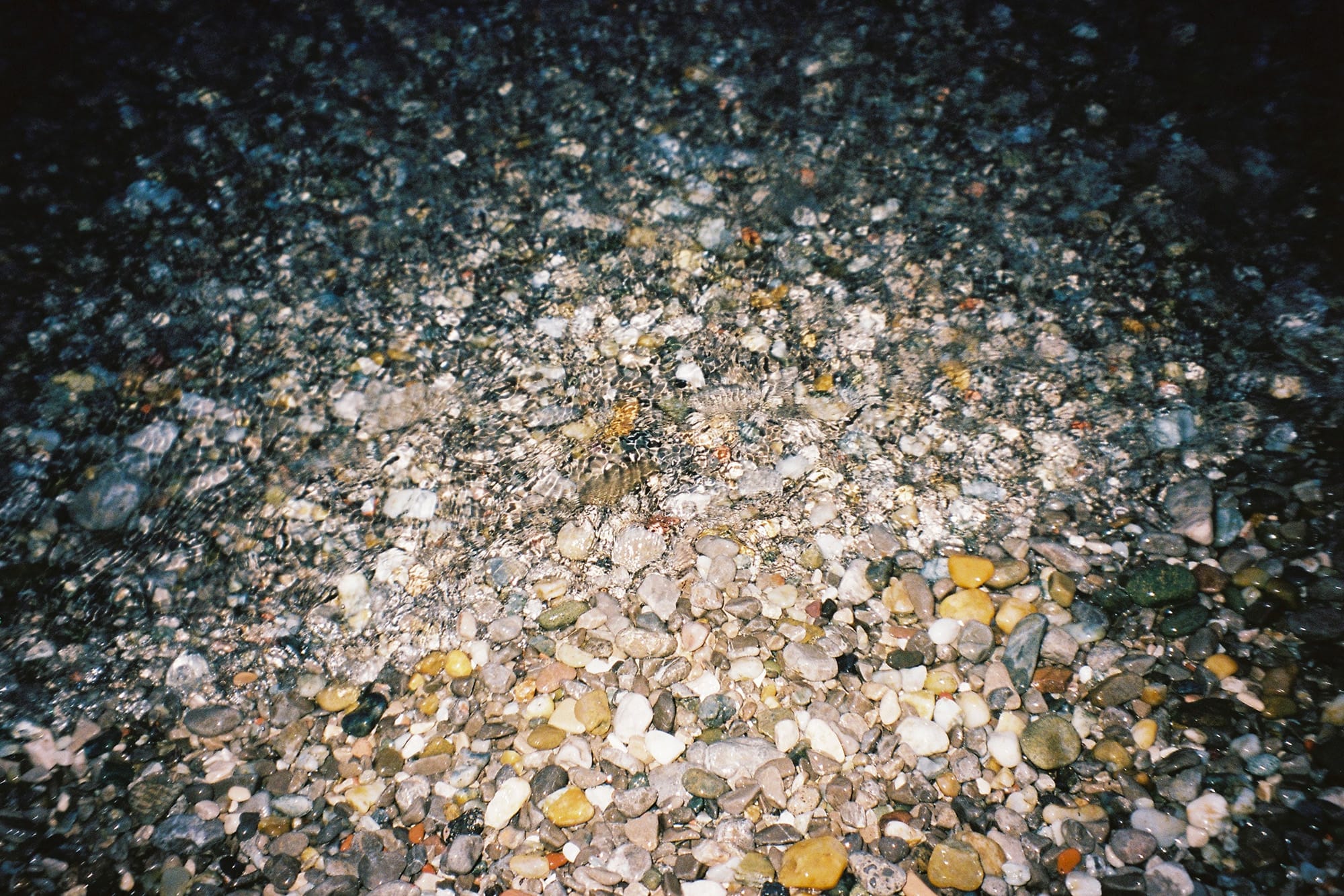 A close-up of pebbles on a beach on the Adriatic.
