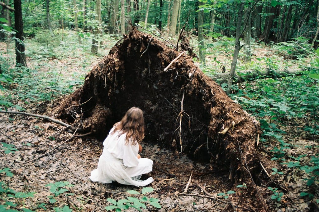 Girl in a white dress kneeling in a forest, facing an uprooted tree.