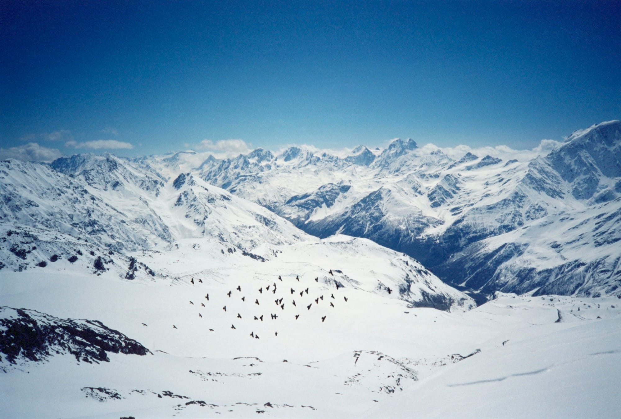 A vast, snow-covered mountain range under a clear blue sky, with a flock of birds flying in formation over a snowy valley.