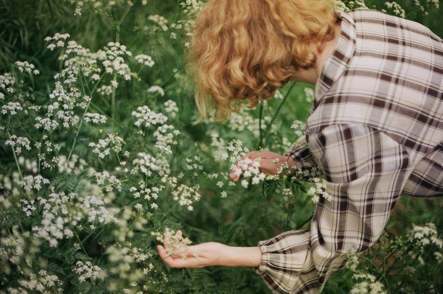 Young woman with curly hair in a plaid shirt, picking white flowers in a lush garden.