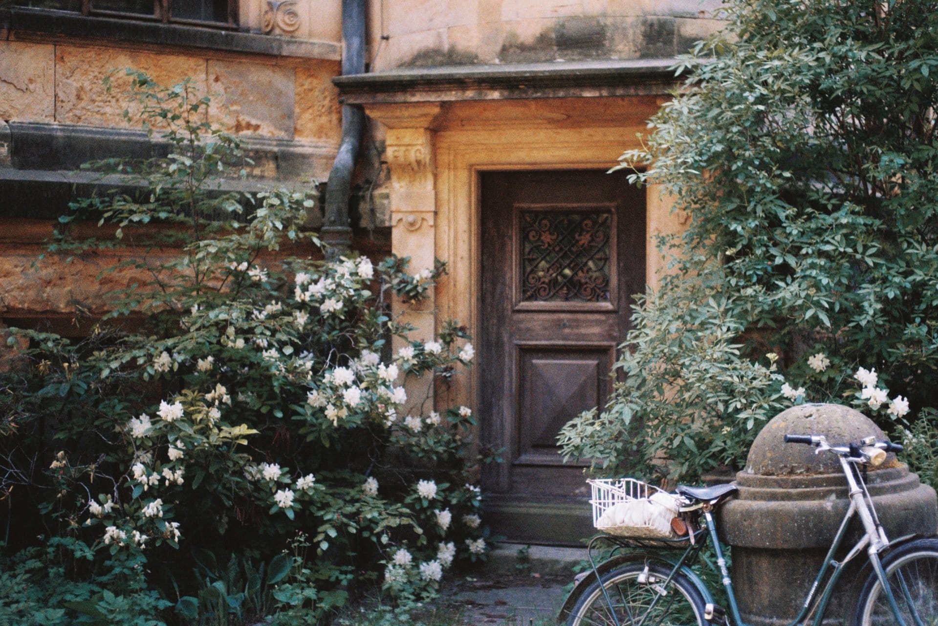 Vintage bicycle leaning against a stone post in front of a building with white flowers by the door.