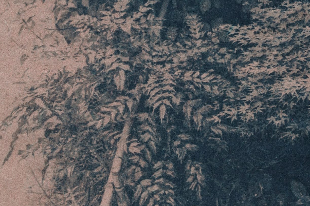 Flora & Fauna