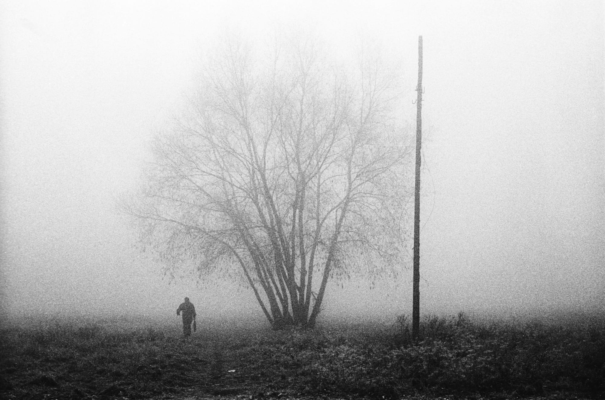Everywhere With Przemek Strzelecki