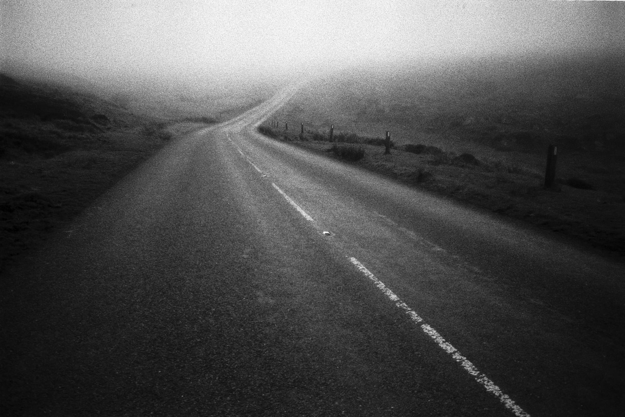Everywhere With Przemek Strzelecki