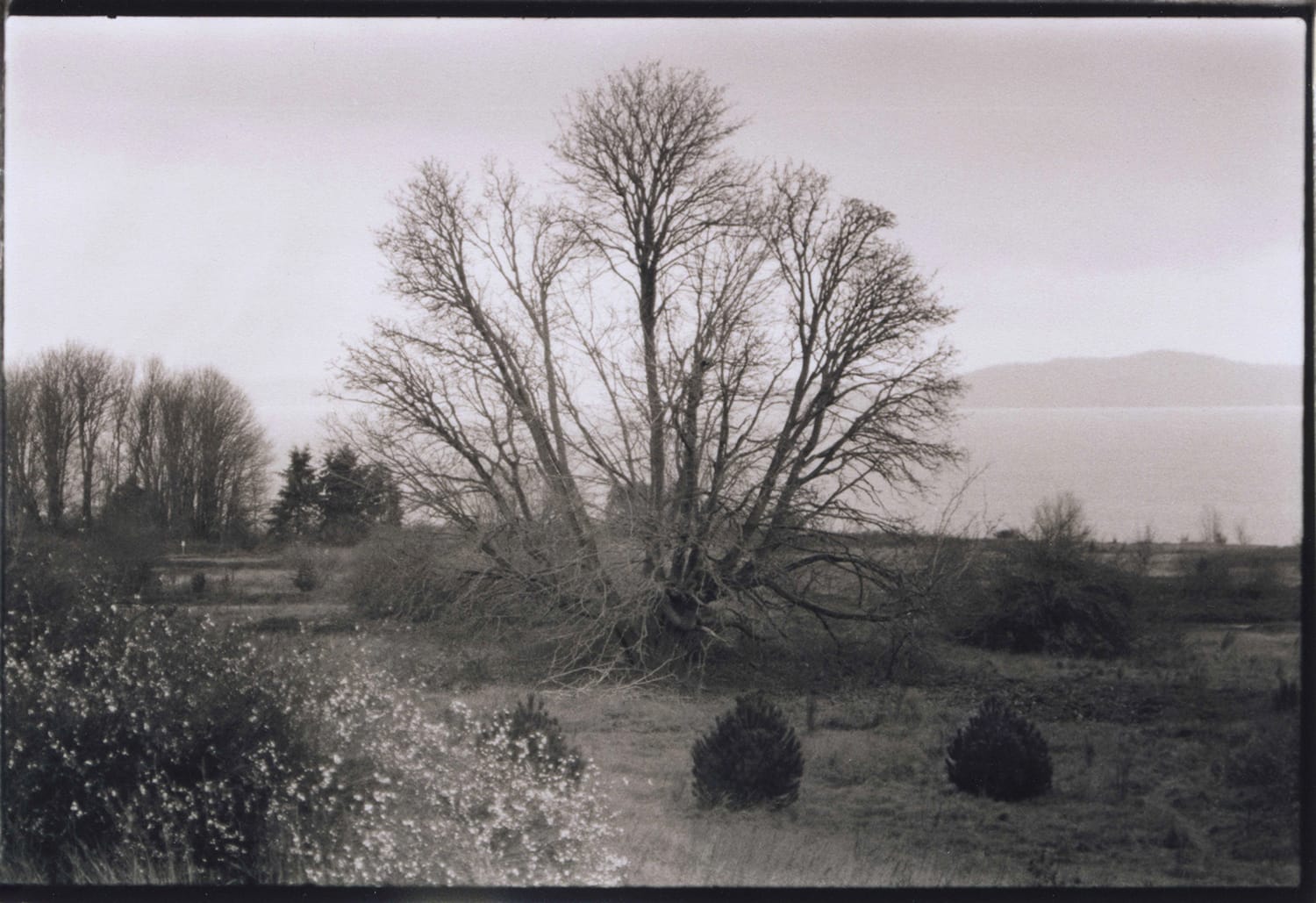 Pacific Northwest By Robert Drozda