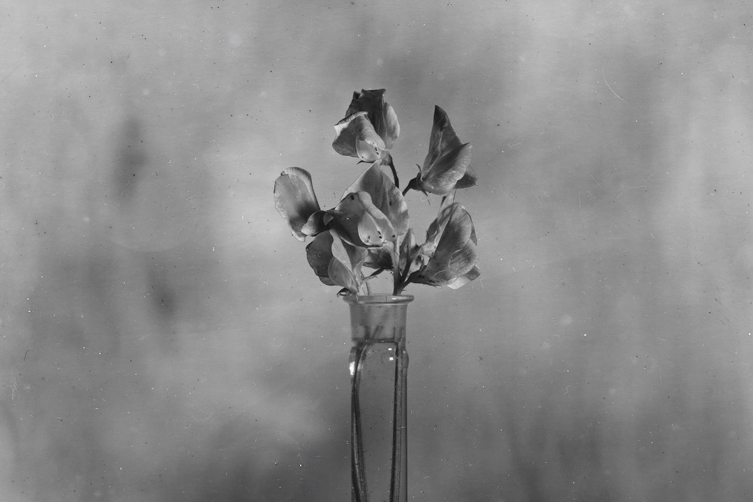 Large Format