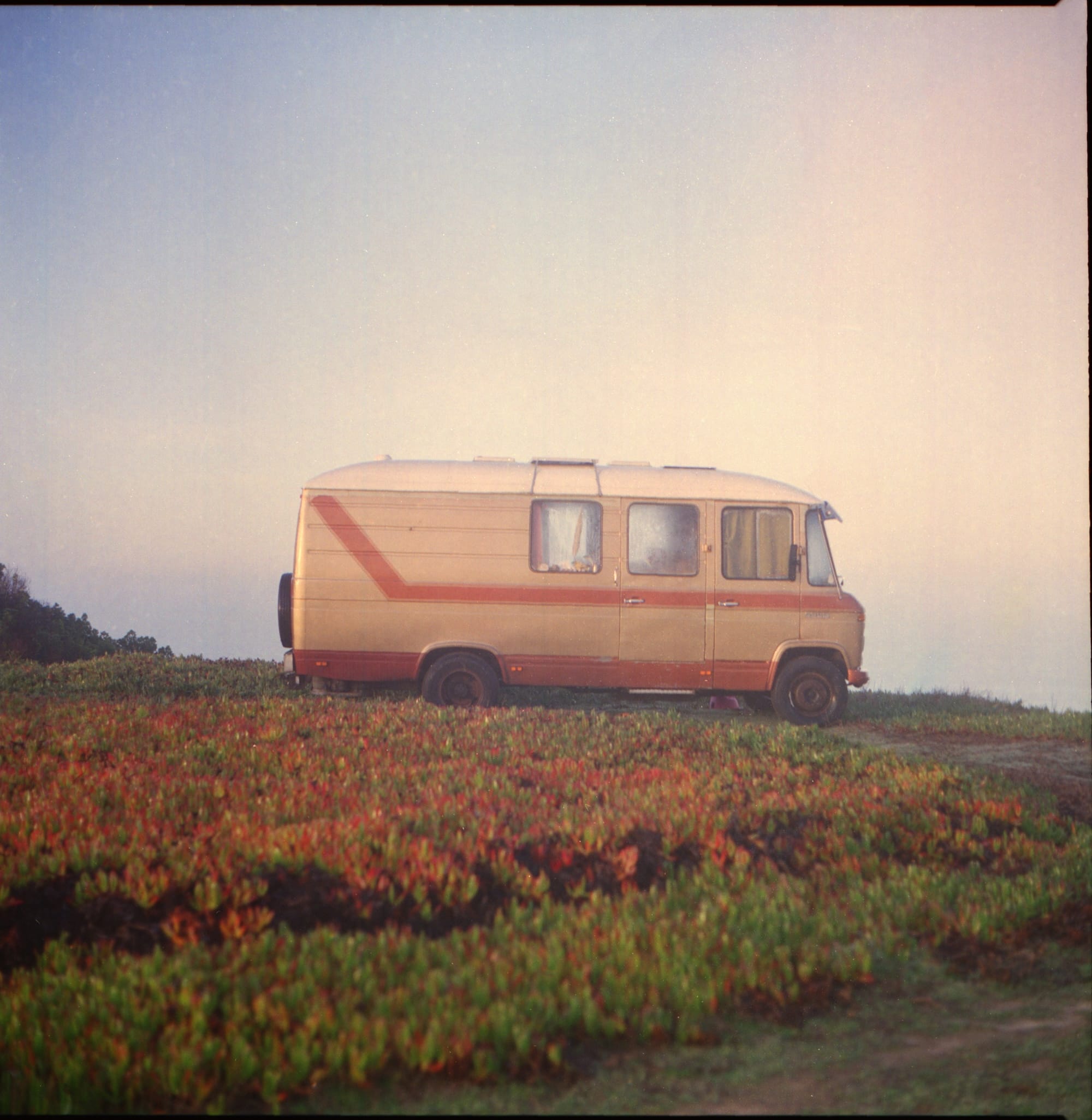 On The Road With Mark Benini