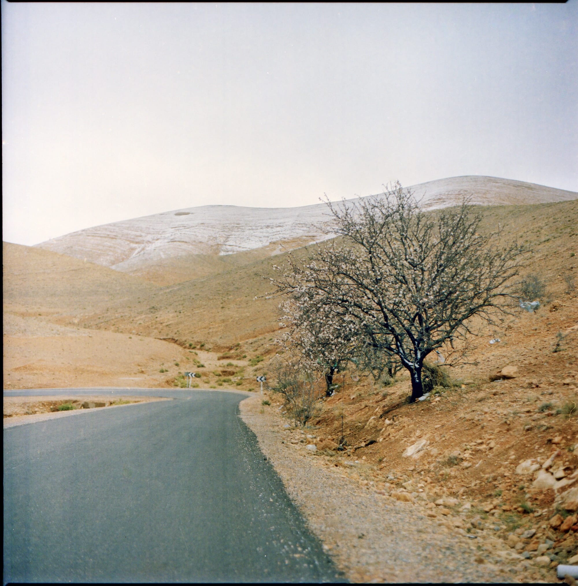 On The Road With Mark Benini