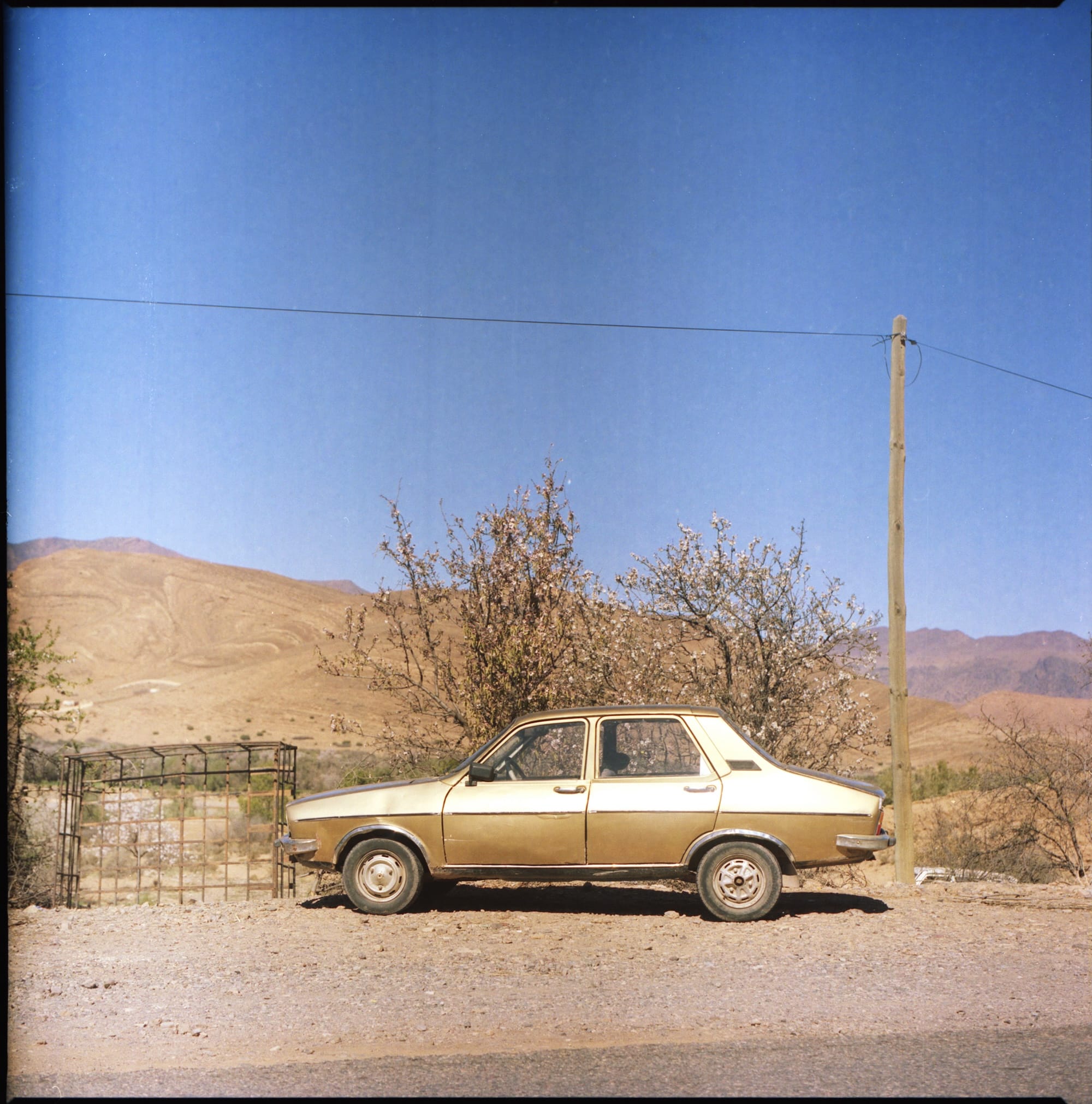 On The Road With Mark Benini