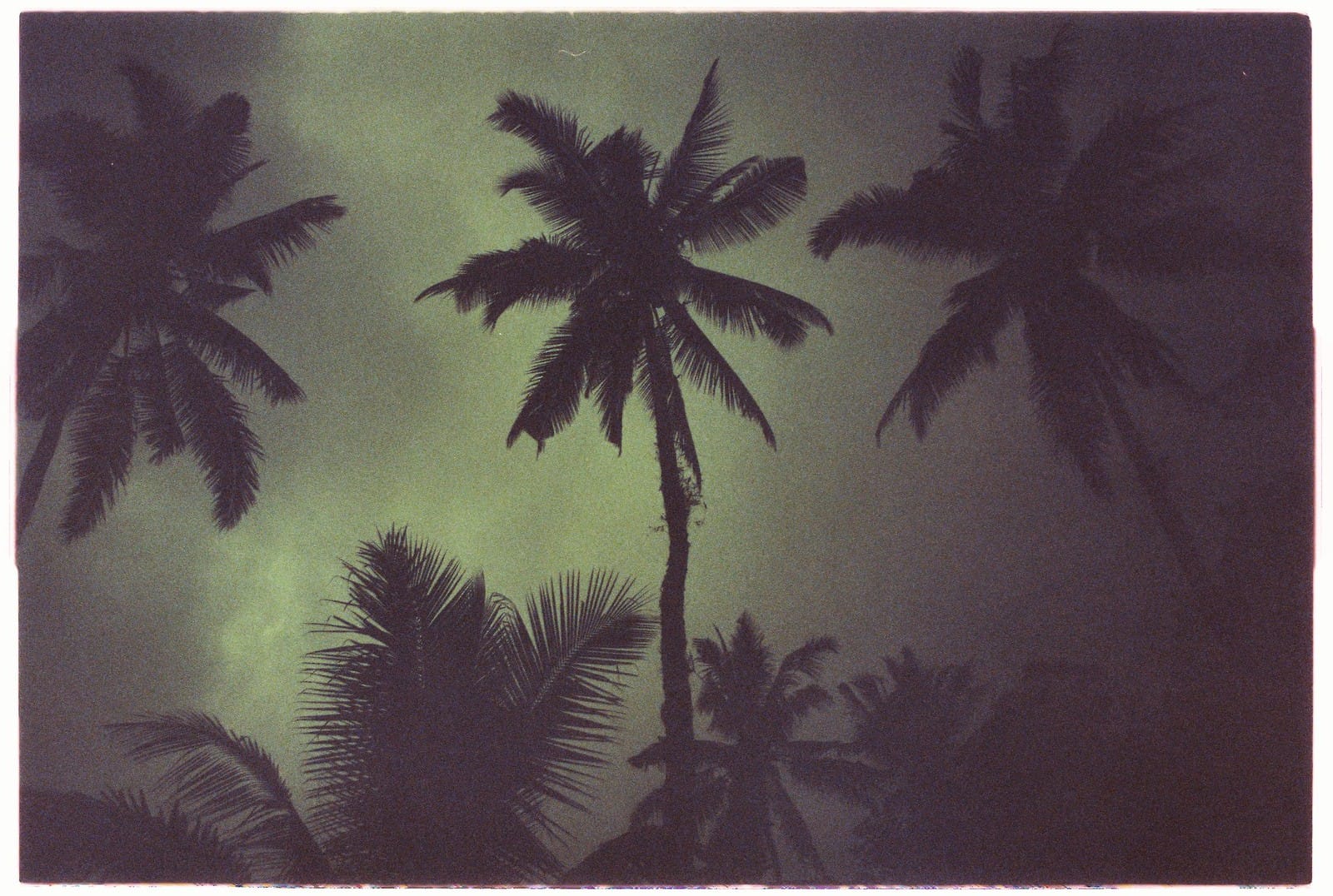 Saigon & Beyond by Tayne Ephraim