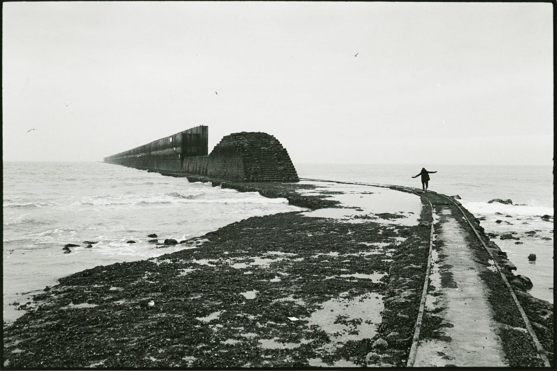 Gert Goovaerts