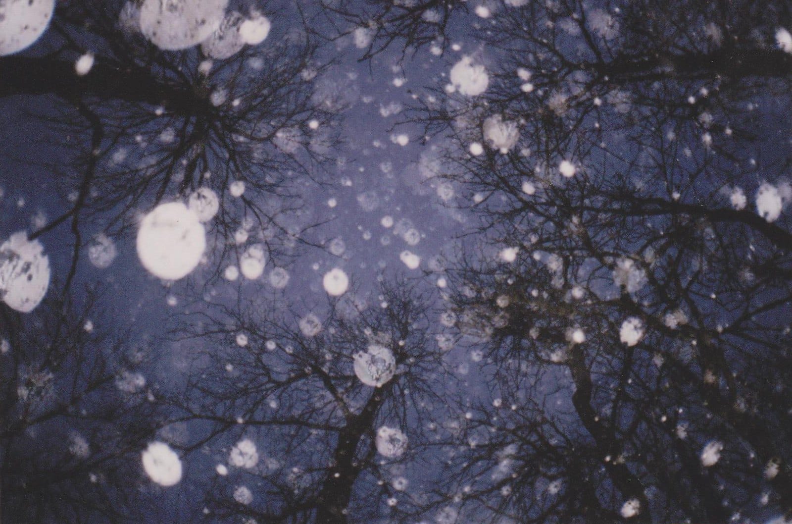 Dark night sky with snowflakes and silhouetted tree branches.