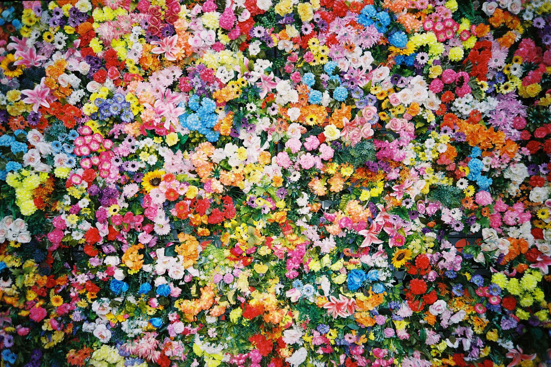 Color