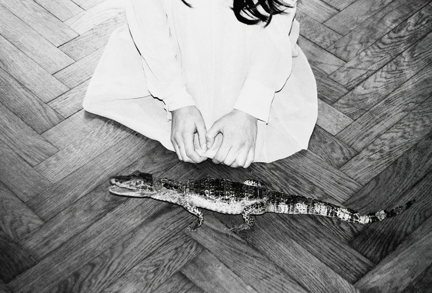 Girl in long dress sitting beside small alligator, surreal film photo.