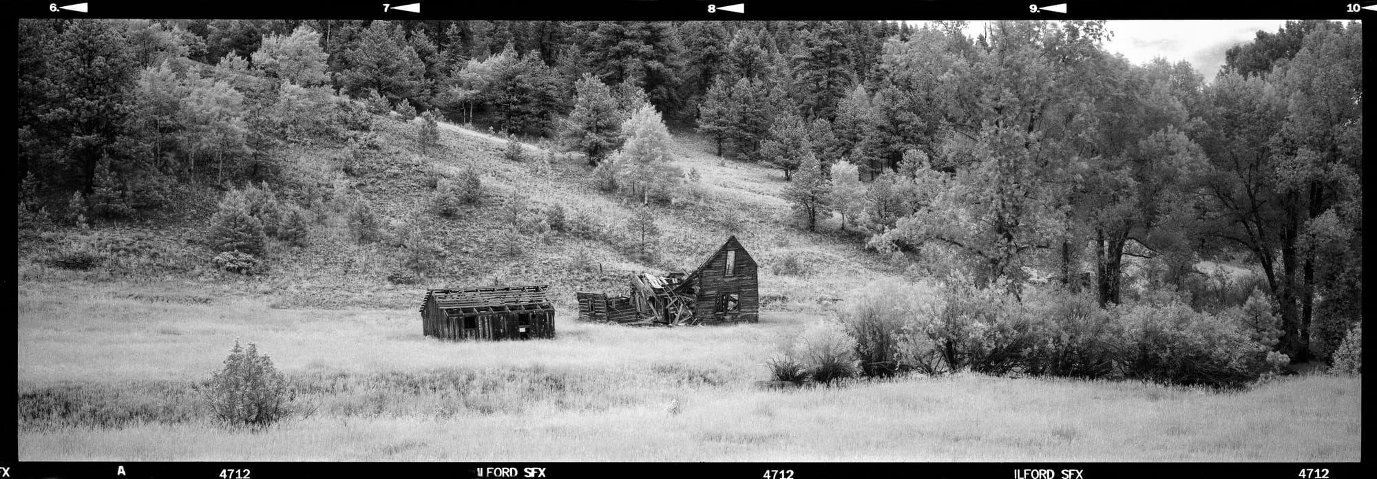 Black and white photograph of an old wooden cabin and shed in a grassy field surrounded by dense forest.