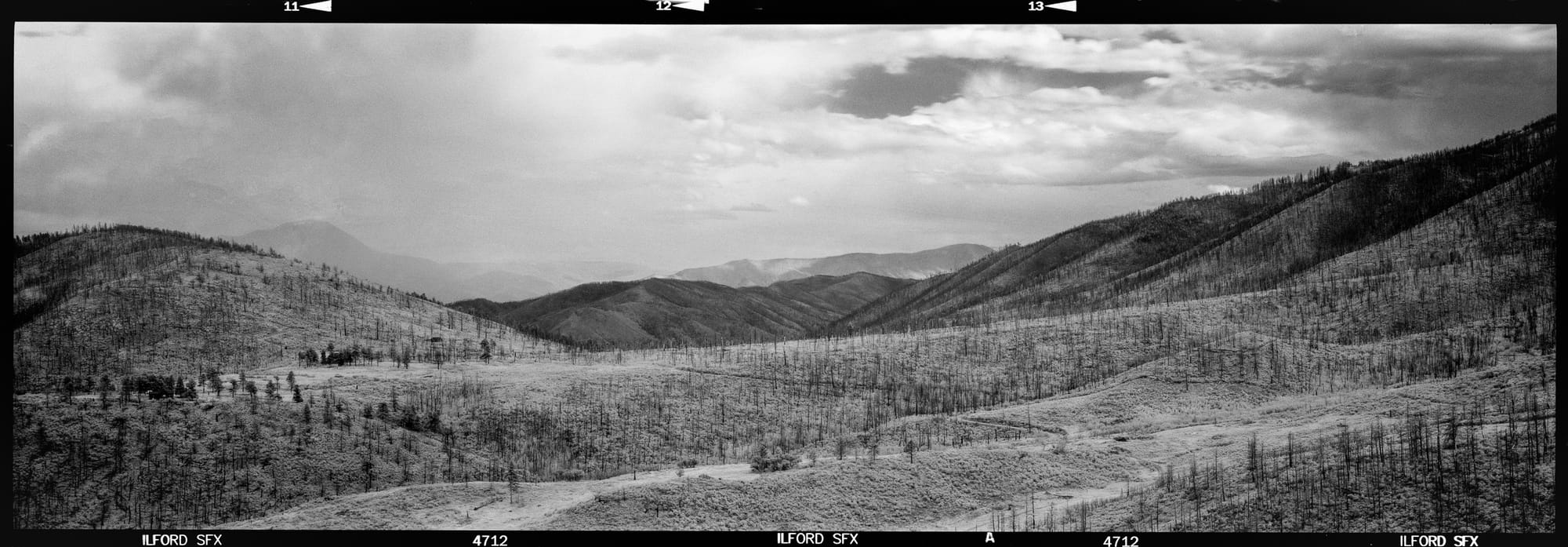 Black and white panoramic view of a mountainous landscape with sparse trees and rolling hills.