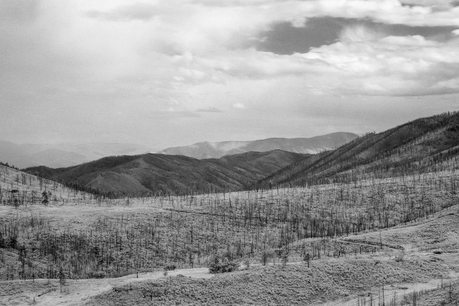Eugene Nikiforov at the Edge of Silence