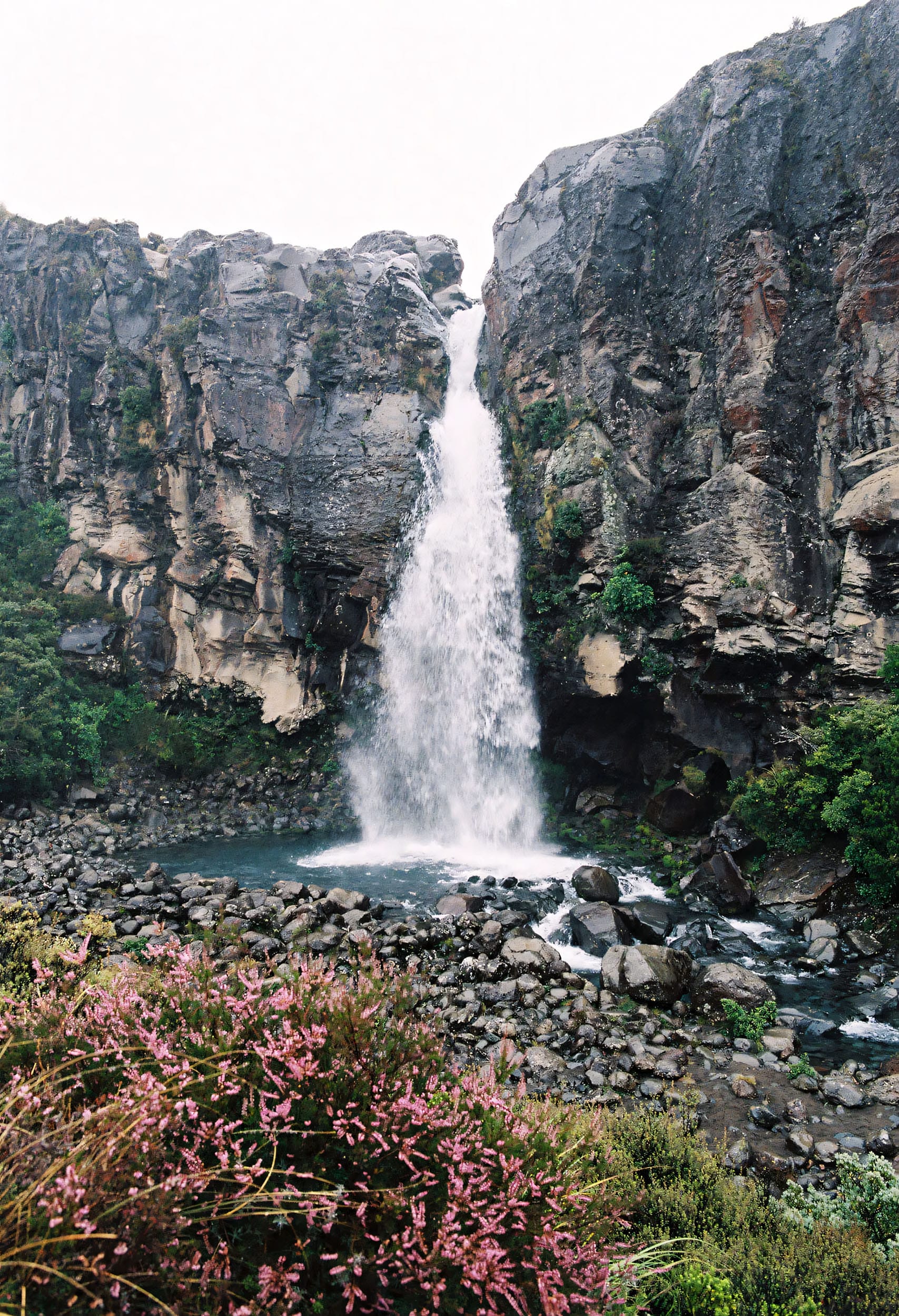 Waterfall cascading down a rugged cliff, surrounded by green vegetation and pink flowers.