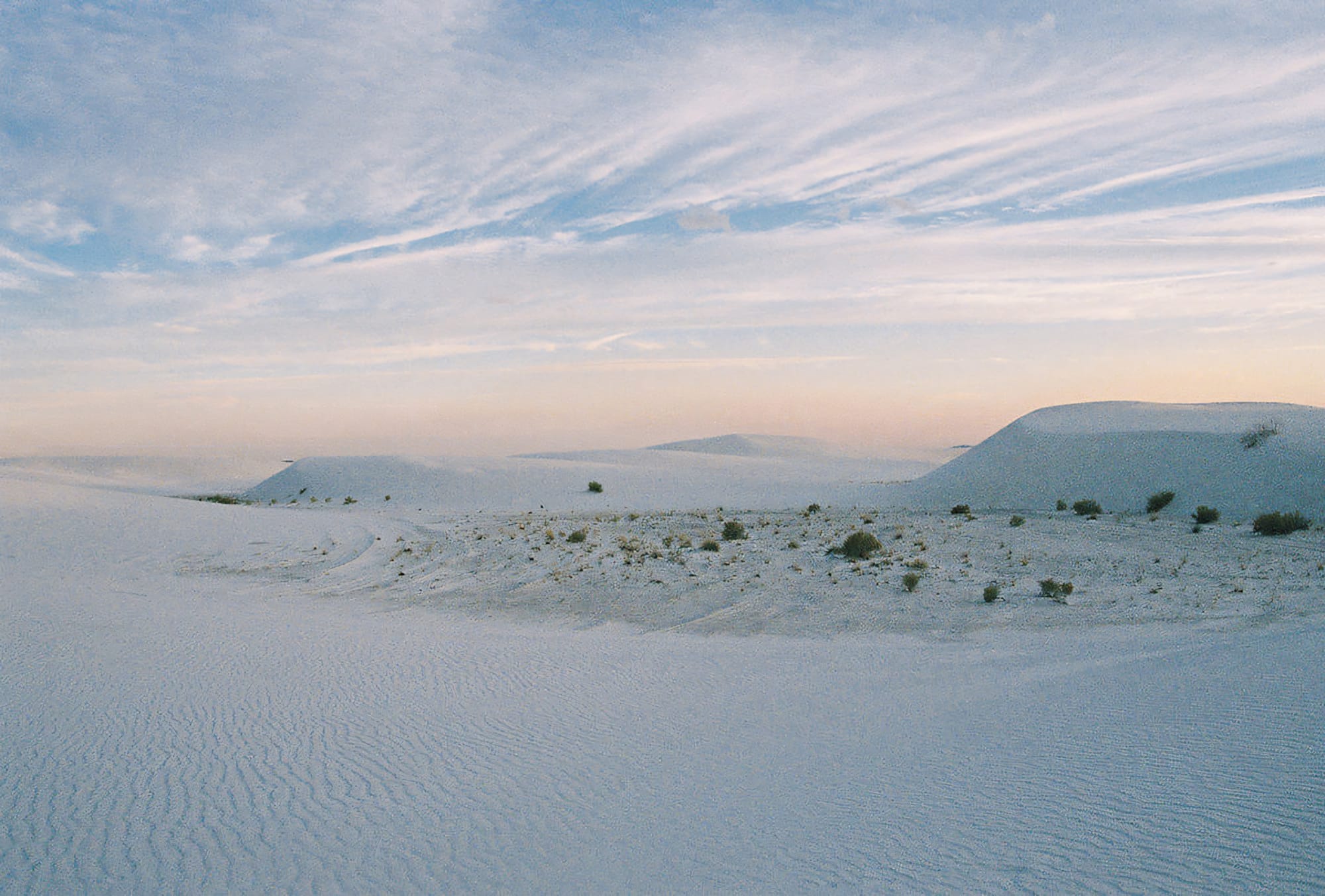 White Sands Desert in New Mexico, unique white sand formations and sparse vegetation.