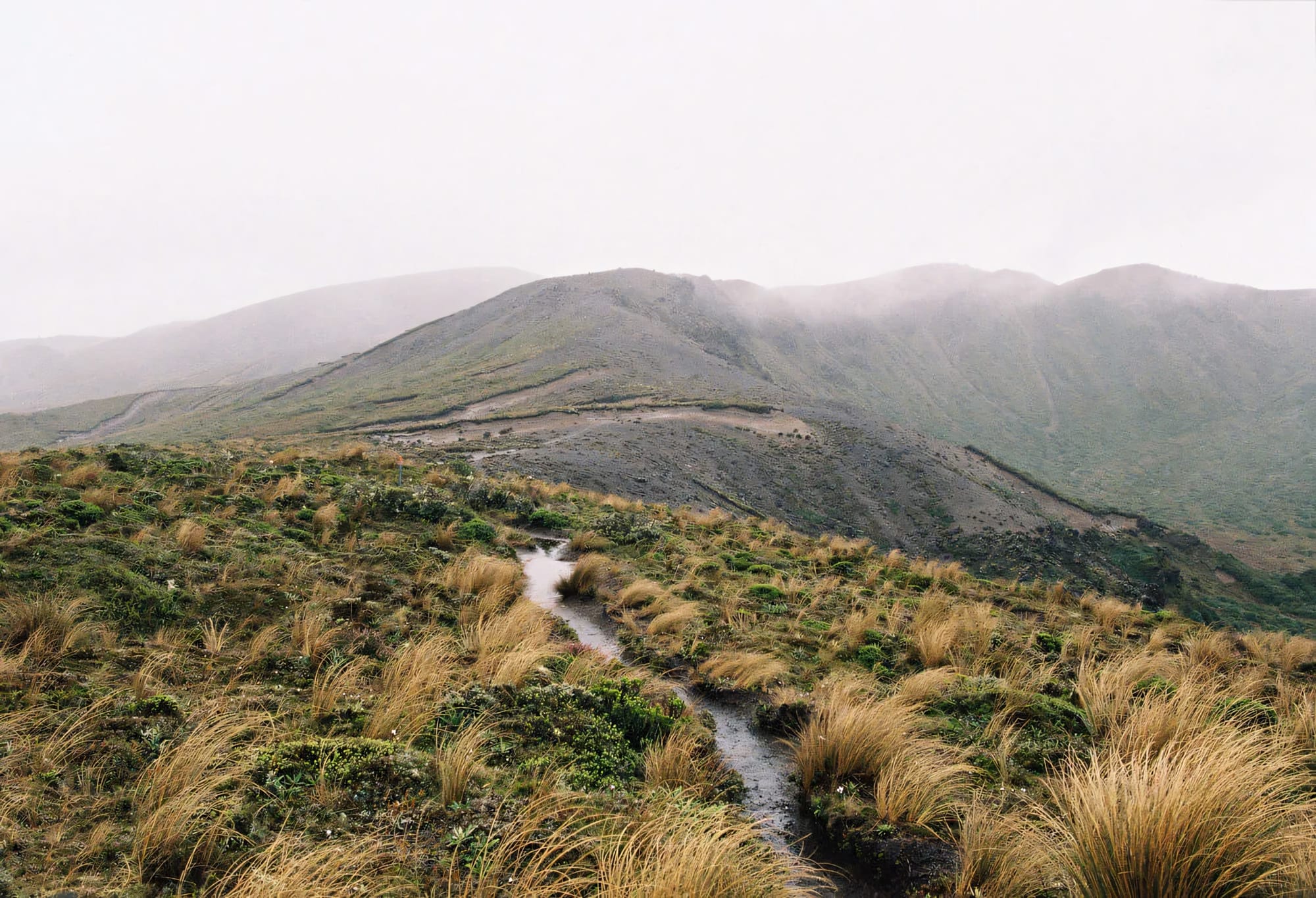 Foggy mountains with a clear stream cutting through green and brown plants.