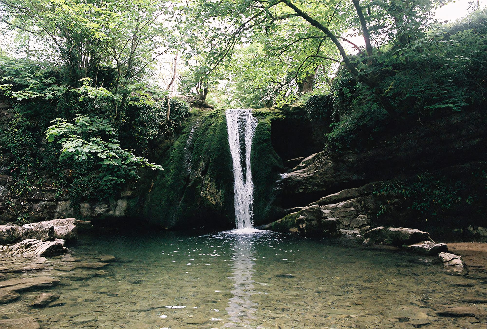 Off the Grid with Dawn Chapman