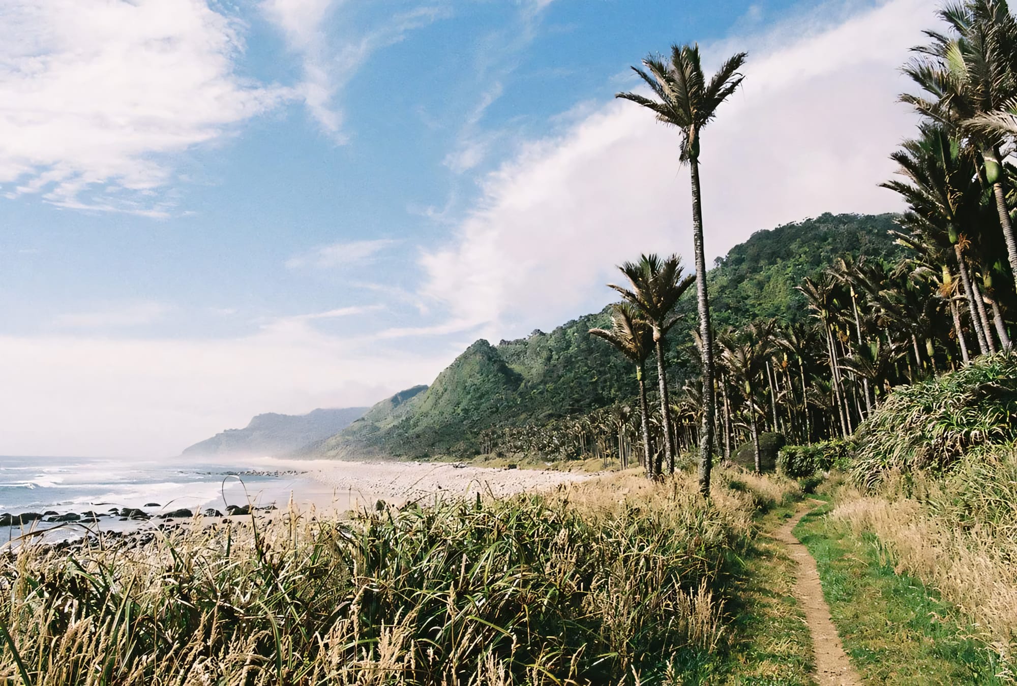 Coastal path with tall palm trees leading to a sandy beach and green hills under a partly cloudy sky.