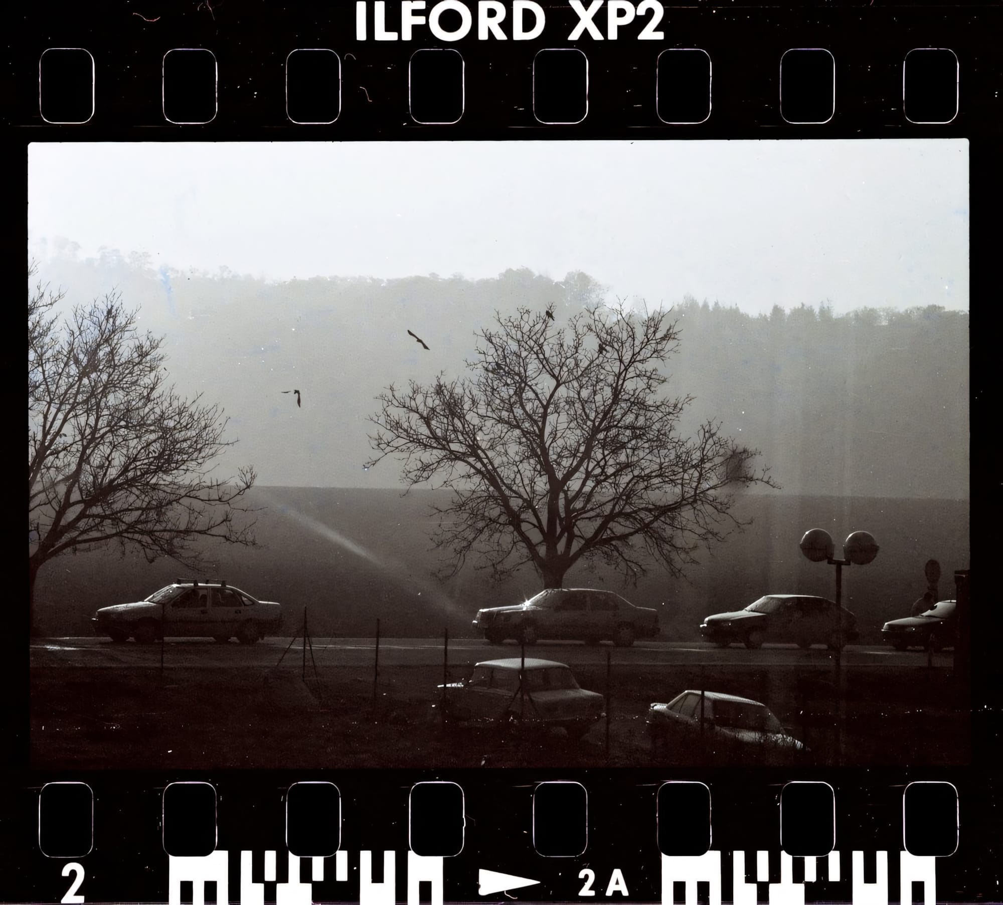 Misty day in a rural area, with leafless trees and parked cars.