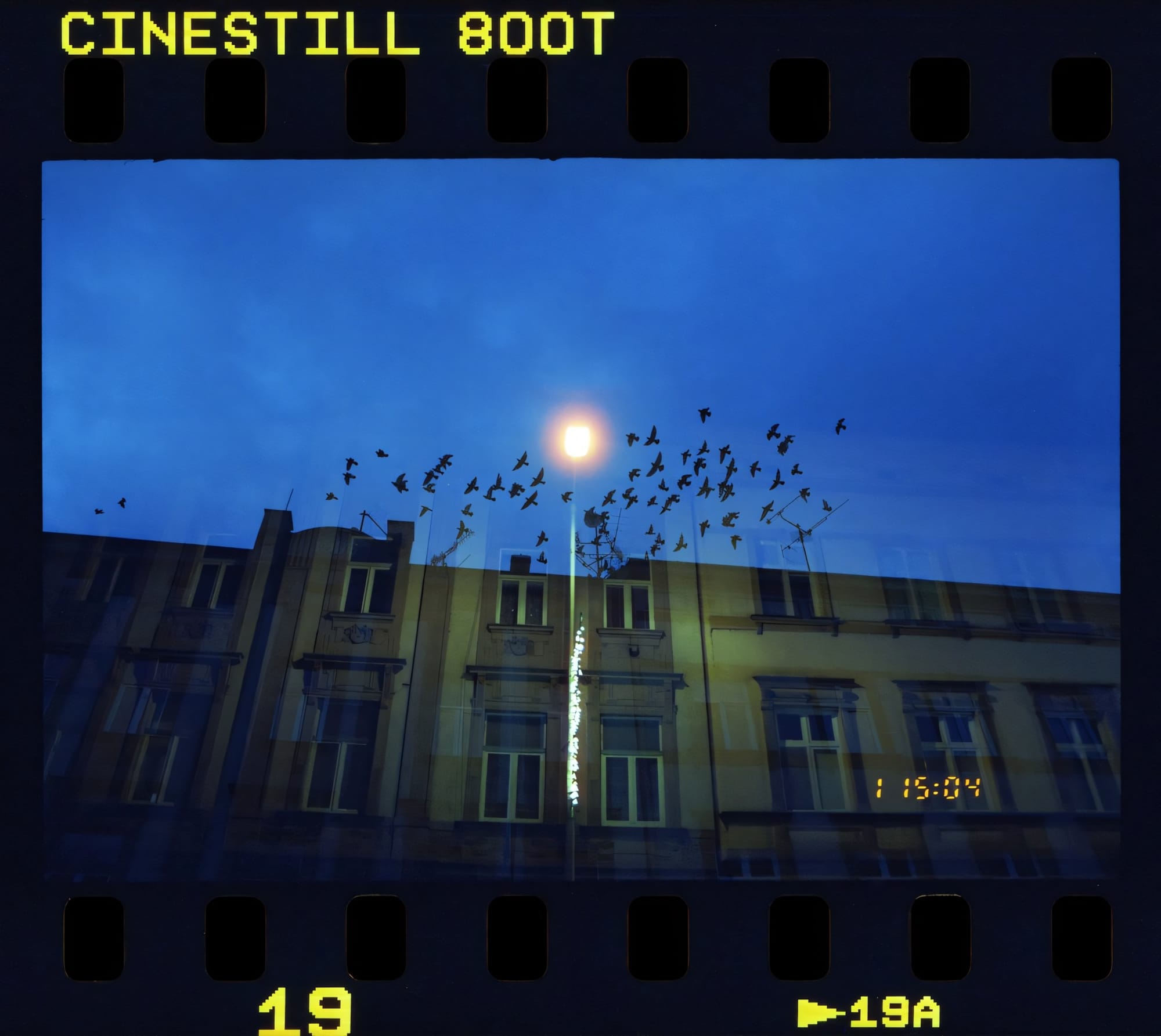 Double-exposure of birds in flight and a building at dusk.