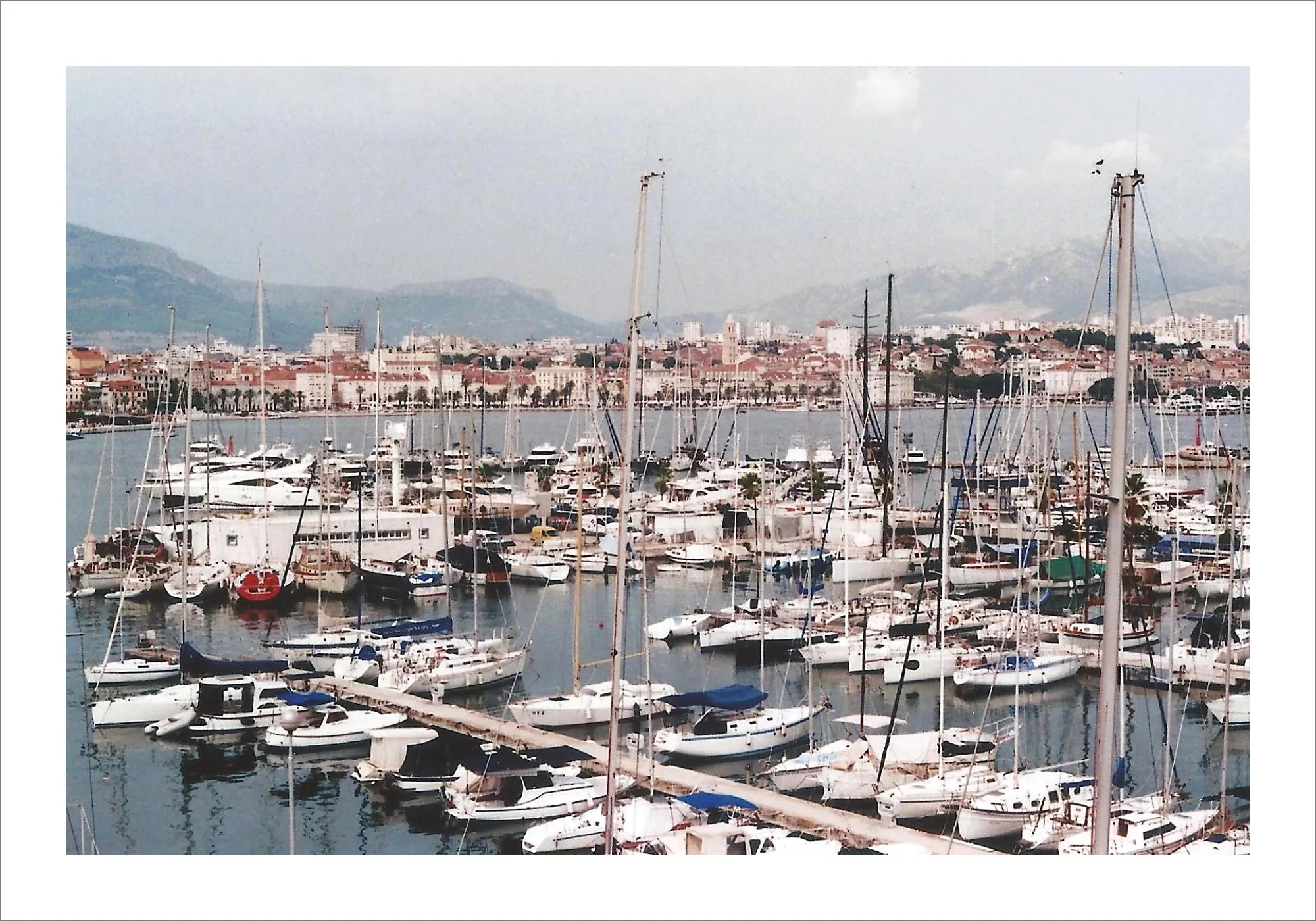 Marina full of sailboats with coastal town in background on film.