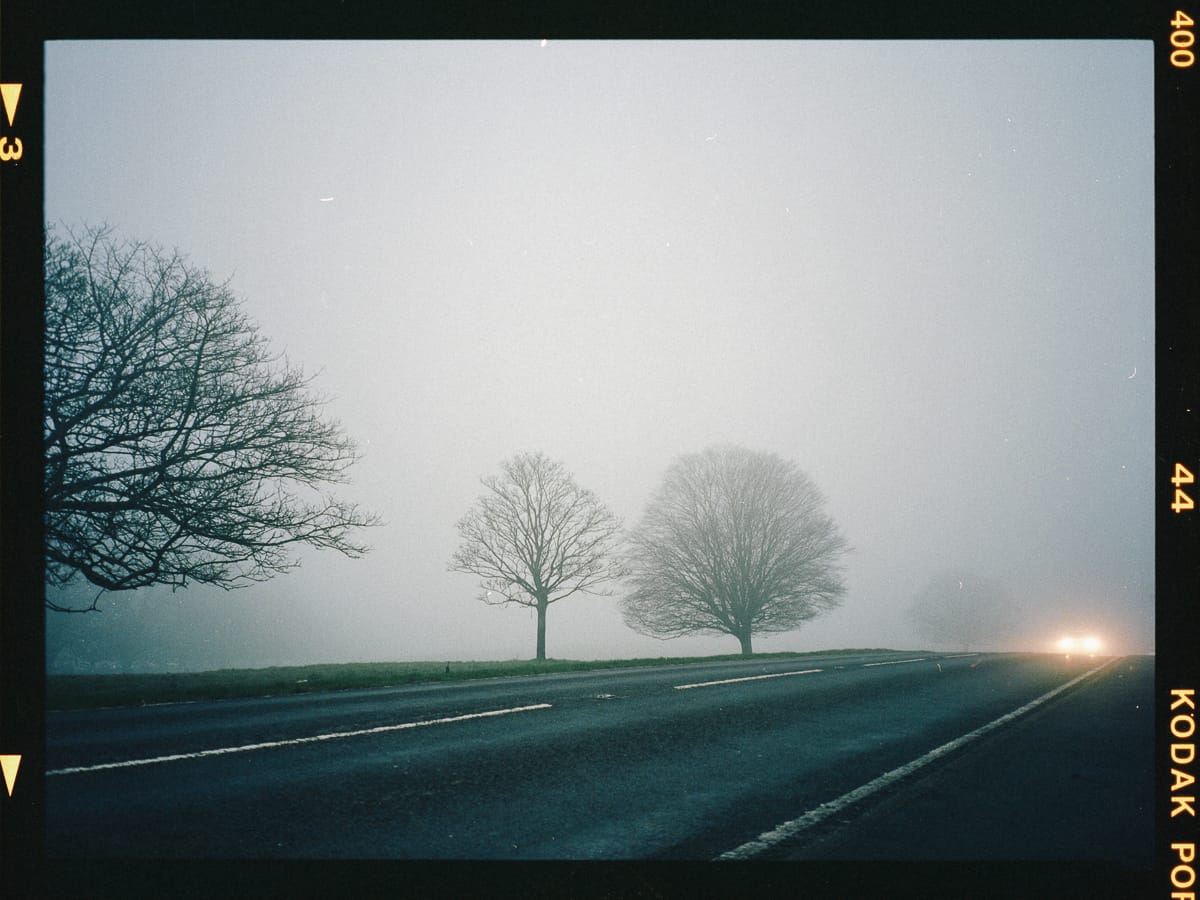 Foggy road with bare trees and approaching headlights on film.