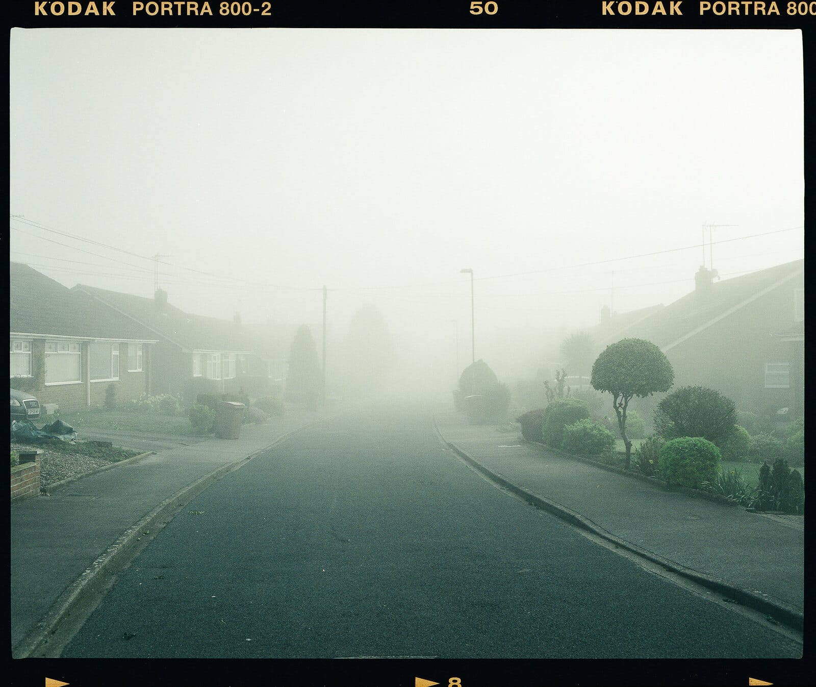 Suburban street disappearing into thick fog shot on Portra 800.