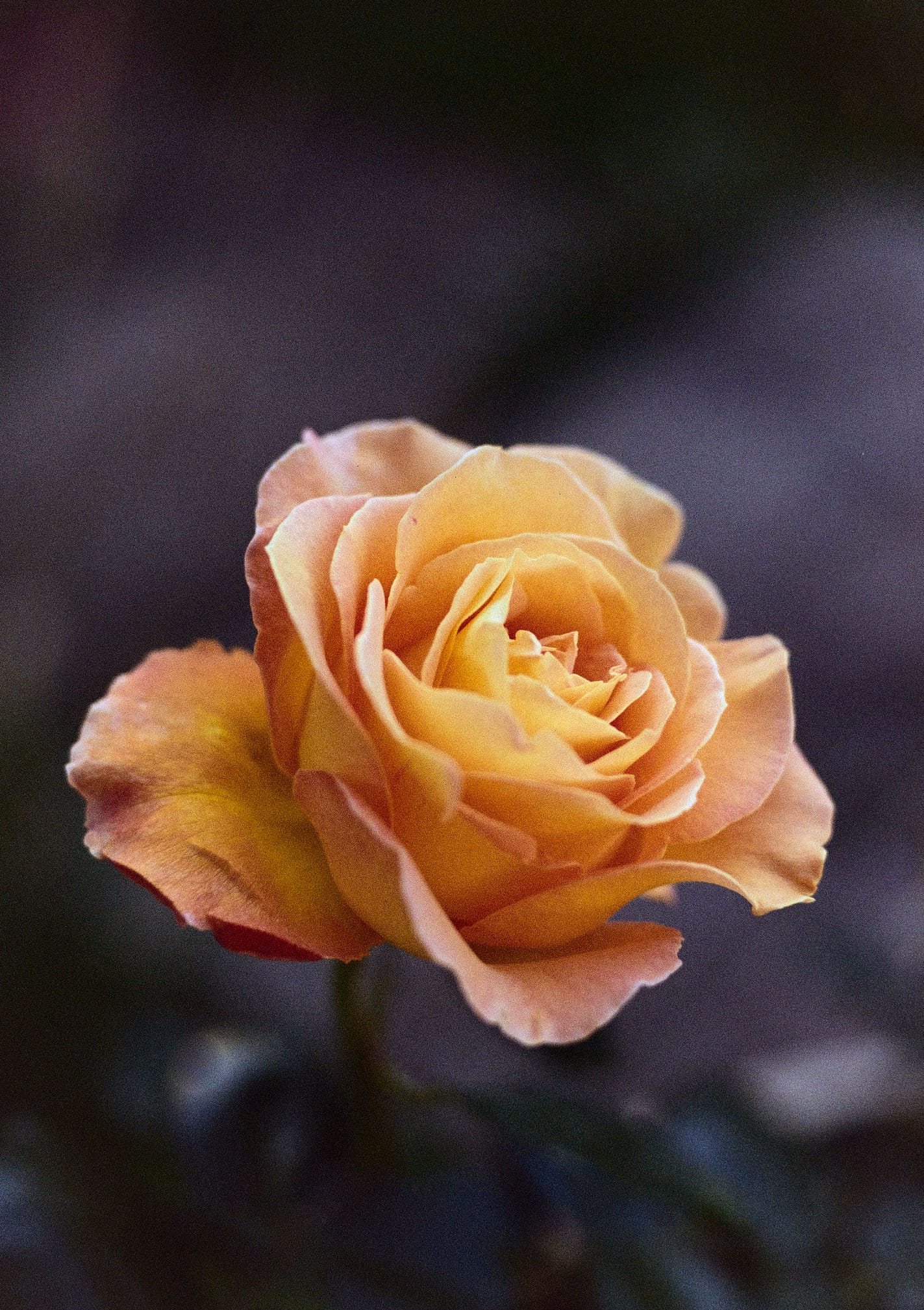 f/5.6ish: Everything & Nothing In Particular