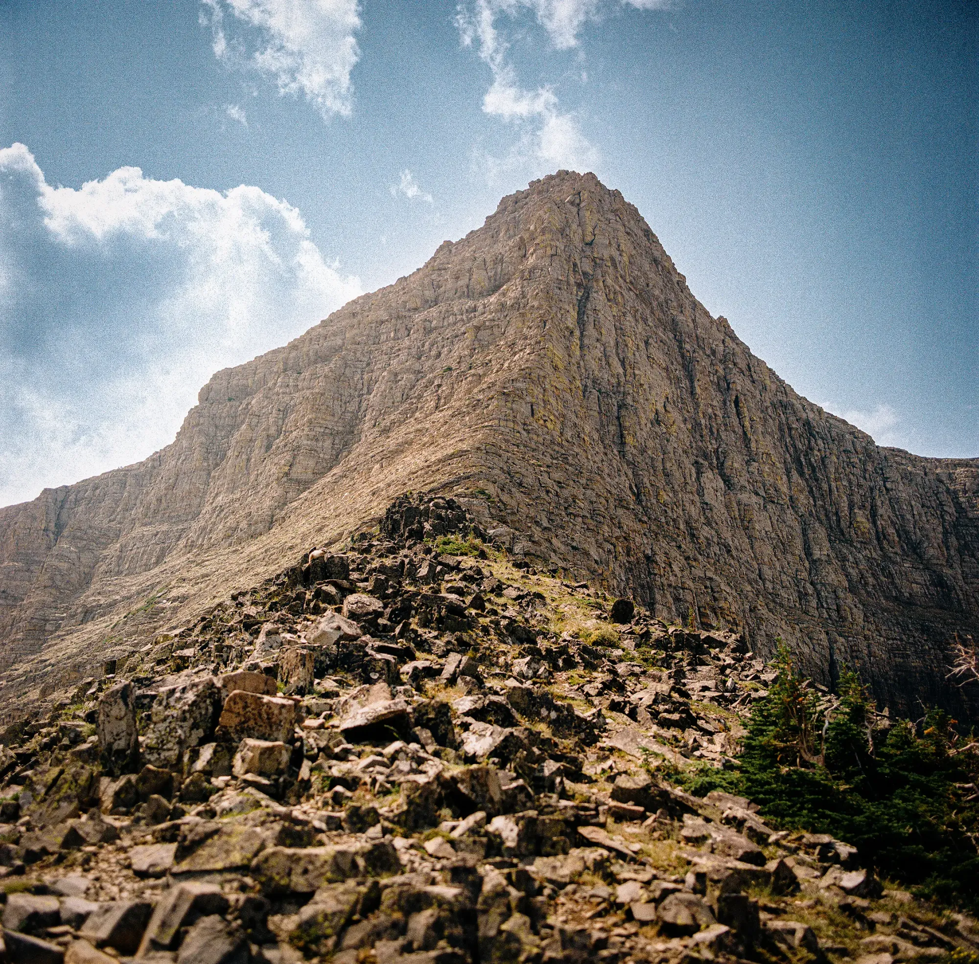 Rocky ridge-line with moss-covered boulders on film.