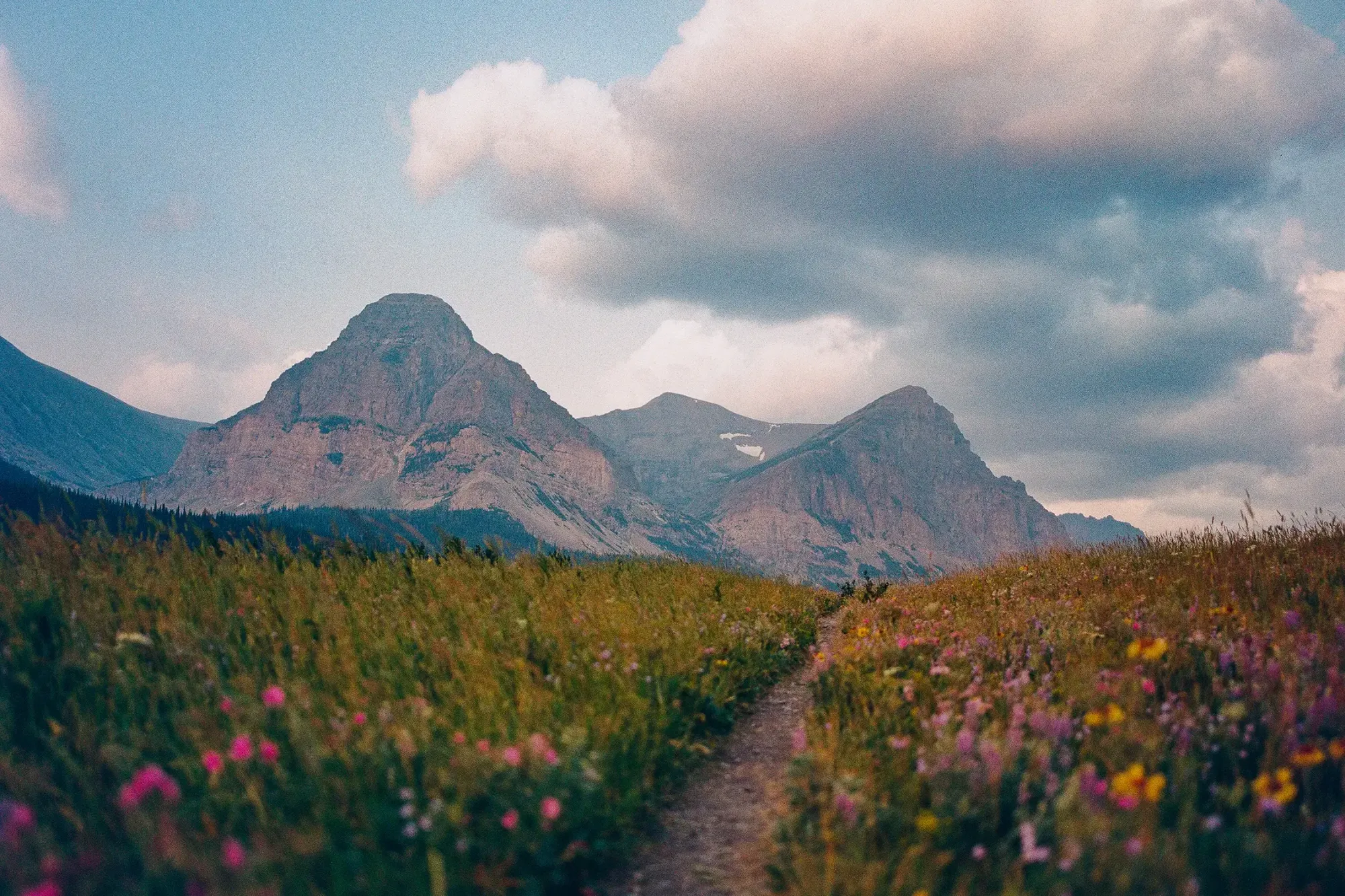 Jordan Shankman: Glacier National Park on Film