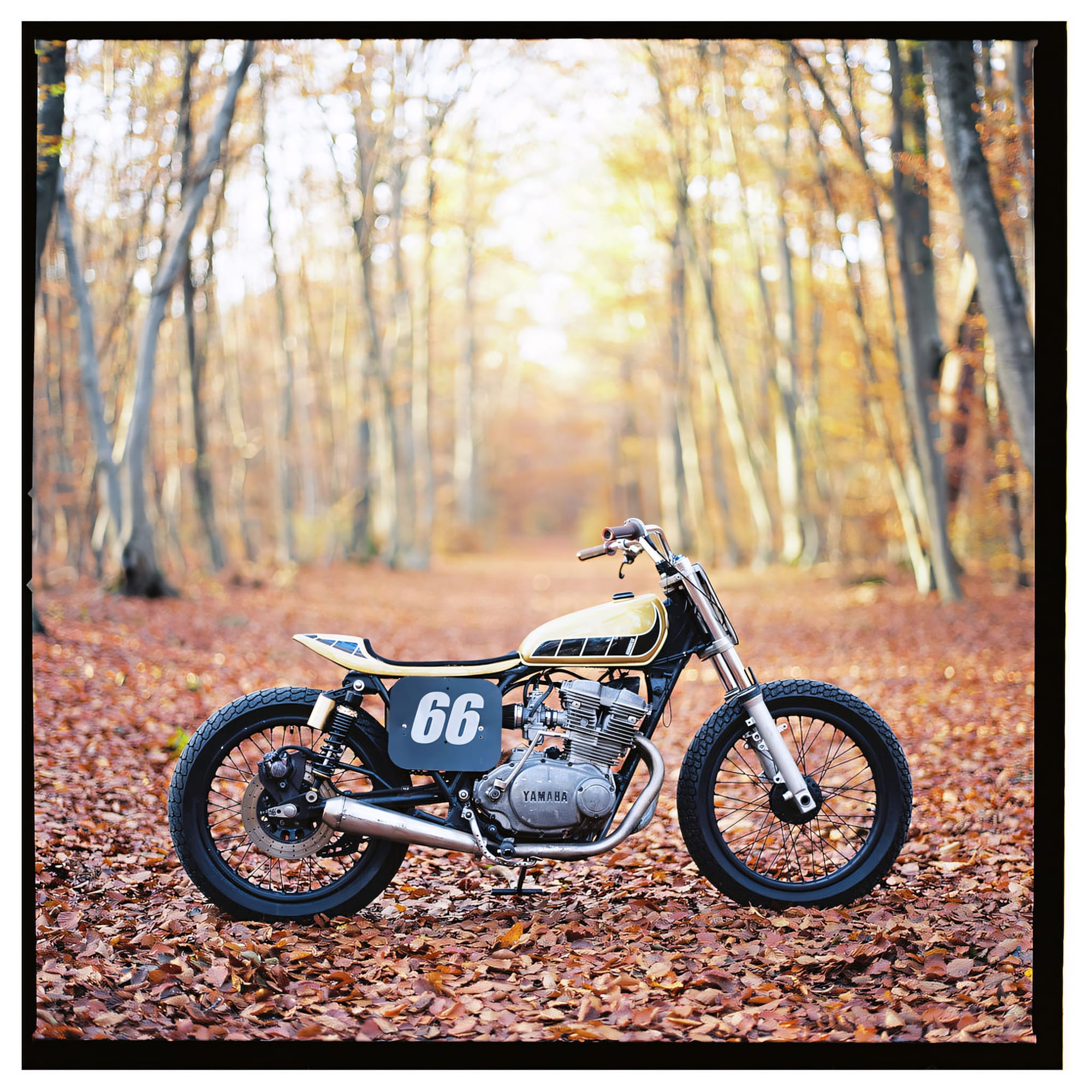 A vintage Yamaha dirt bike on a leaf-covered forest path.