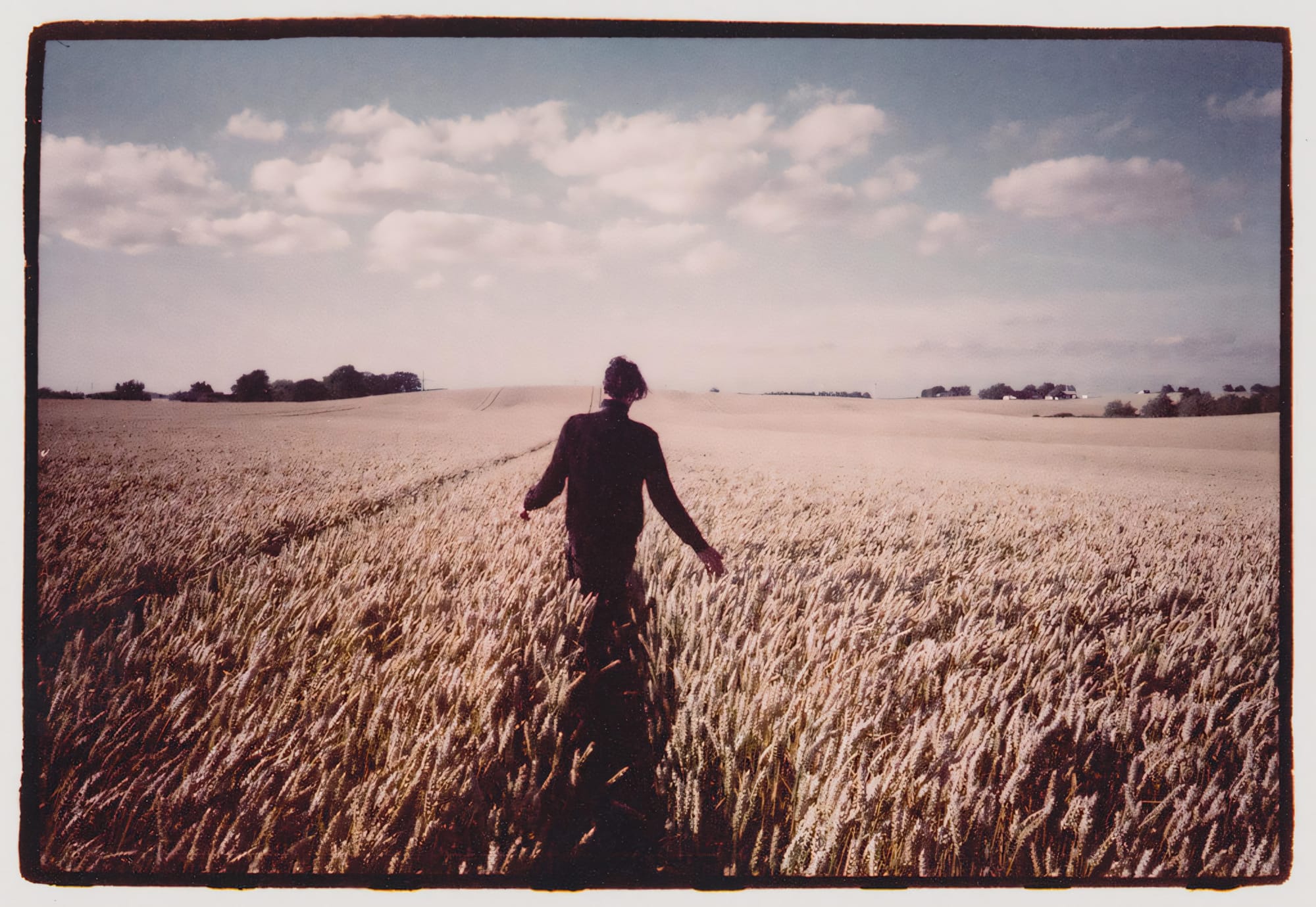 Person walking through wheat field on film.