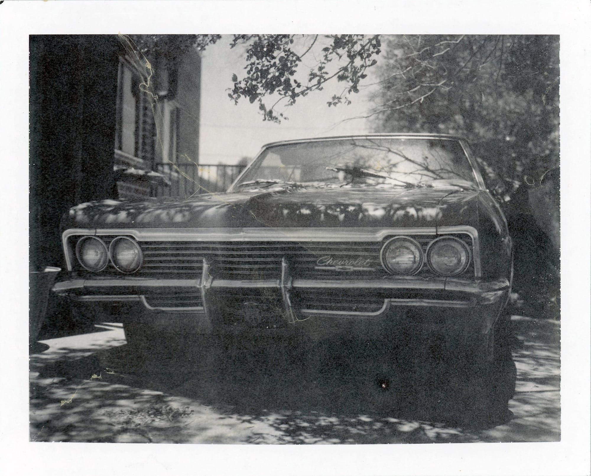 Front end of 1960s Chevrolet Impala with quad headlights partially obscured by tree branch shadows.