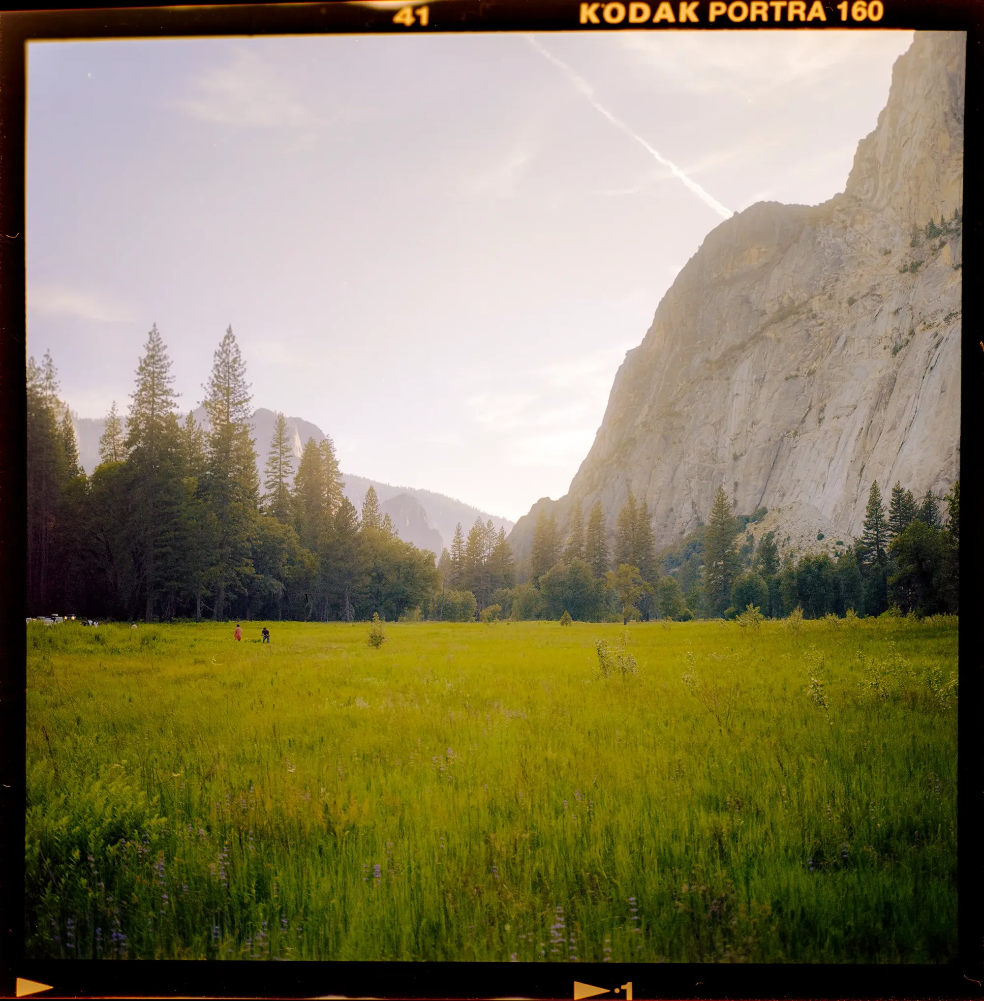 Green meadow in Yosemite Valley with granite cliff and soft evening light.