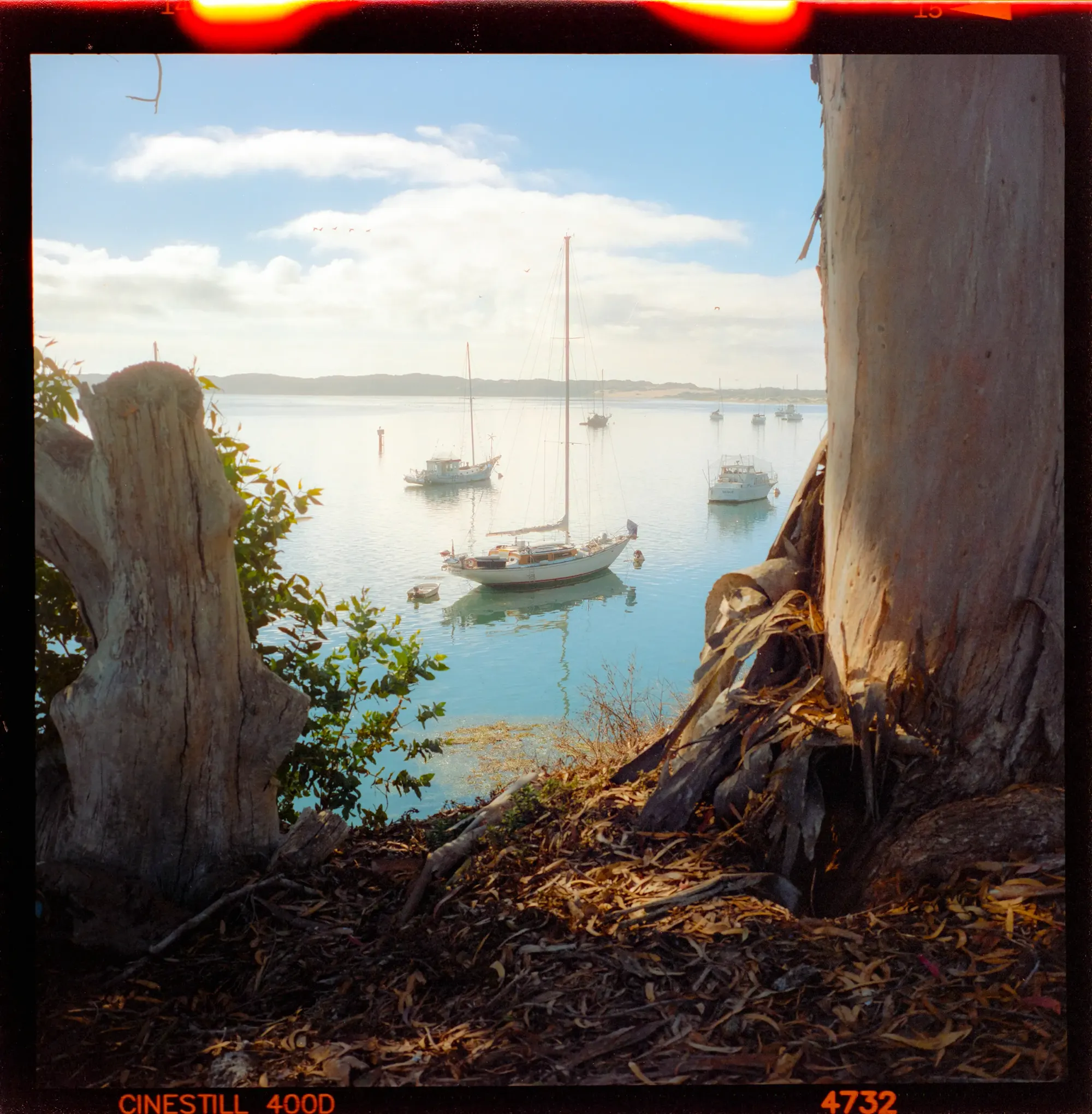 Sailboats anchored in calm harbor framed by weathered driftwood logs.