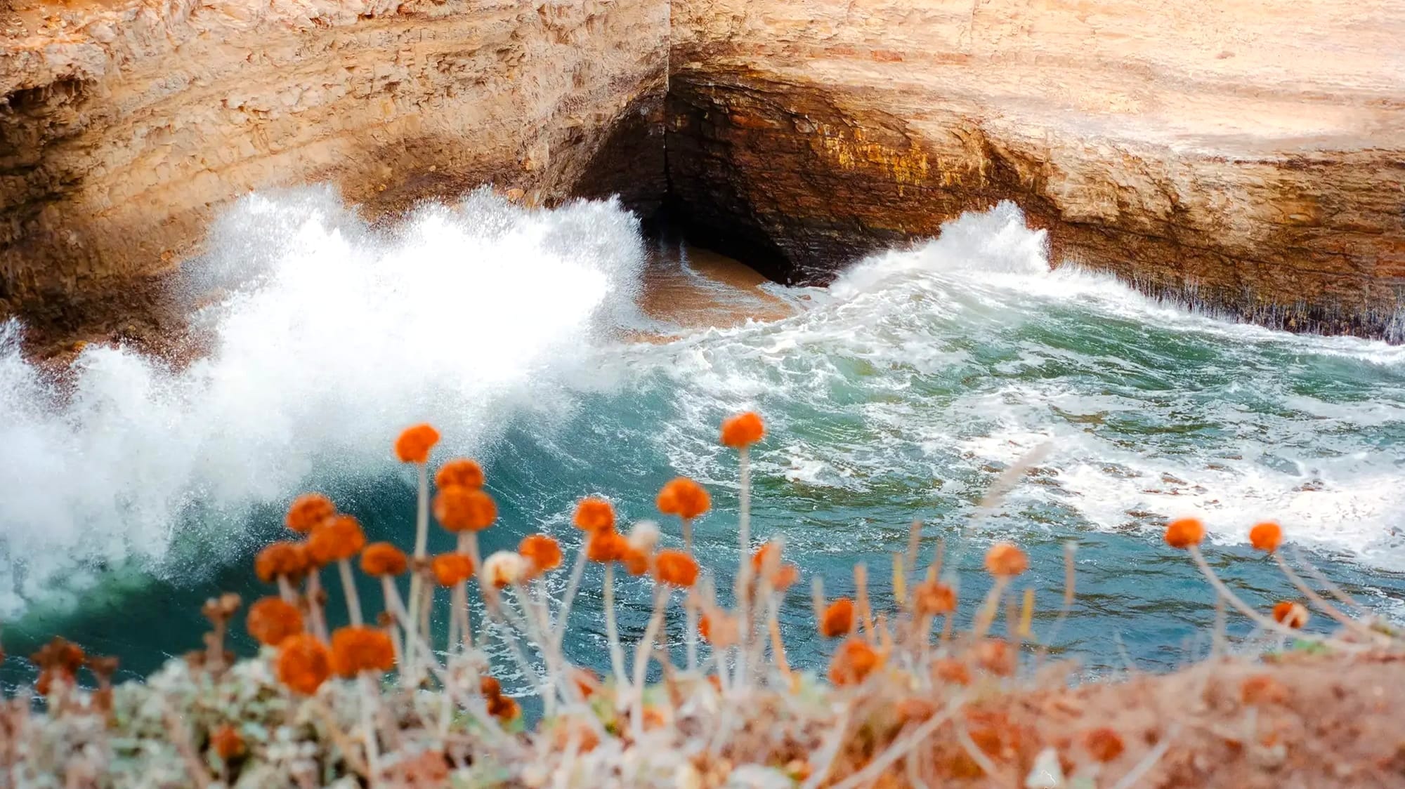 Big Skies & Granite Walls: Tricia Nguyen's West