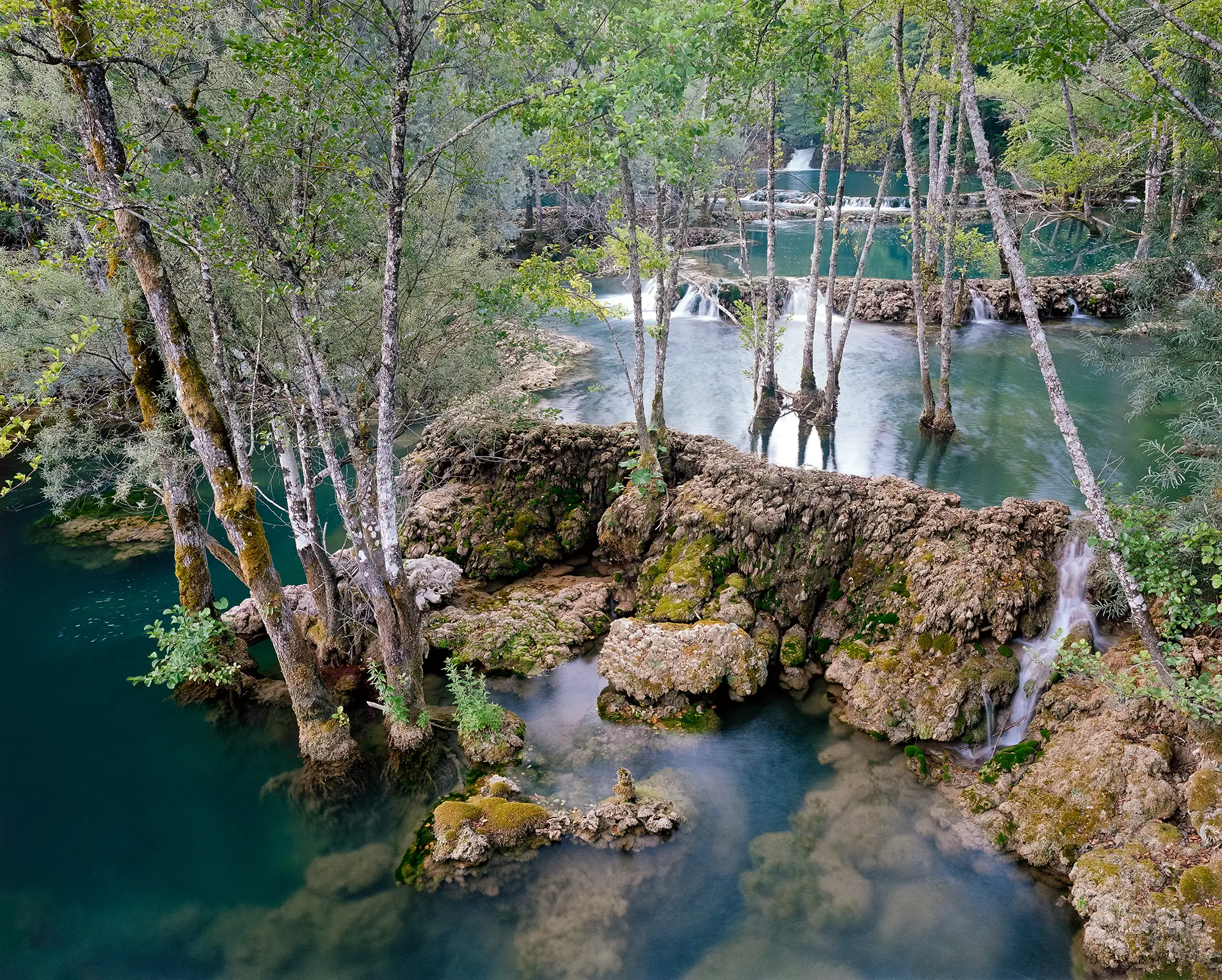 Turquoise lake with moss-covered travertine rocks and cascading waterfalls through dense forest with white birch trees.