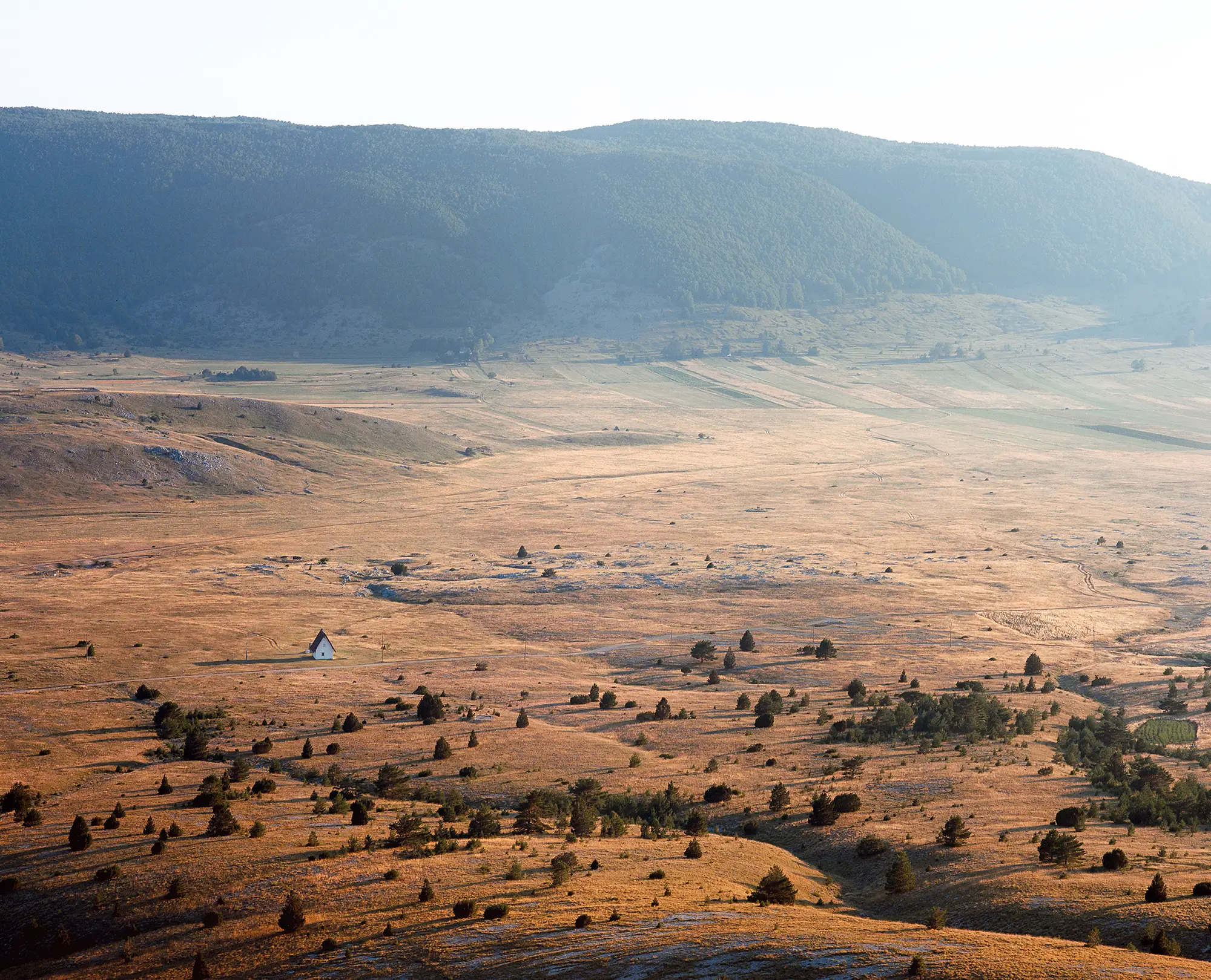 Golden plateau valley with scattered evergreens and small white chapel below forested mountain slope in afternoon light.