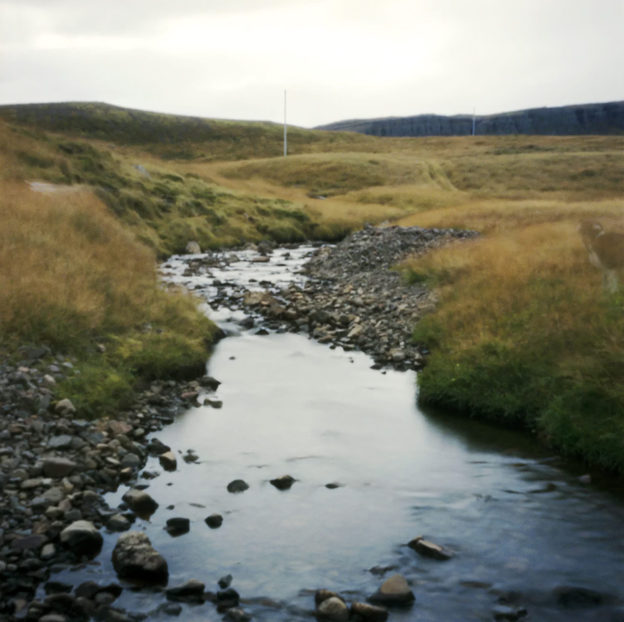 Stream with rocks flowing through grassy hills on film.