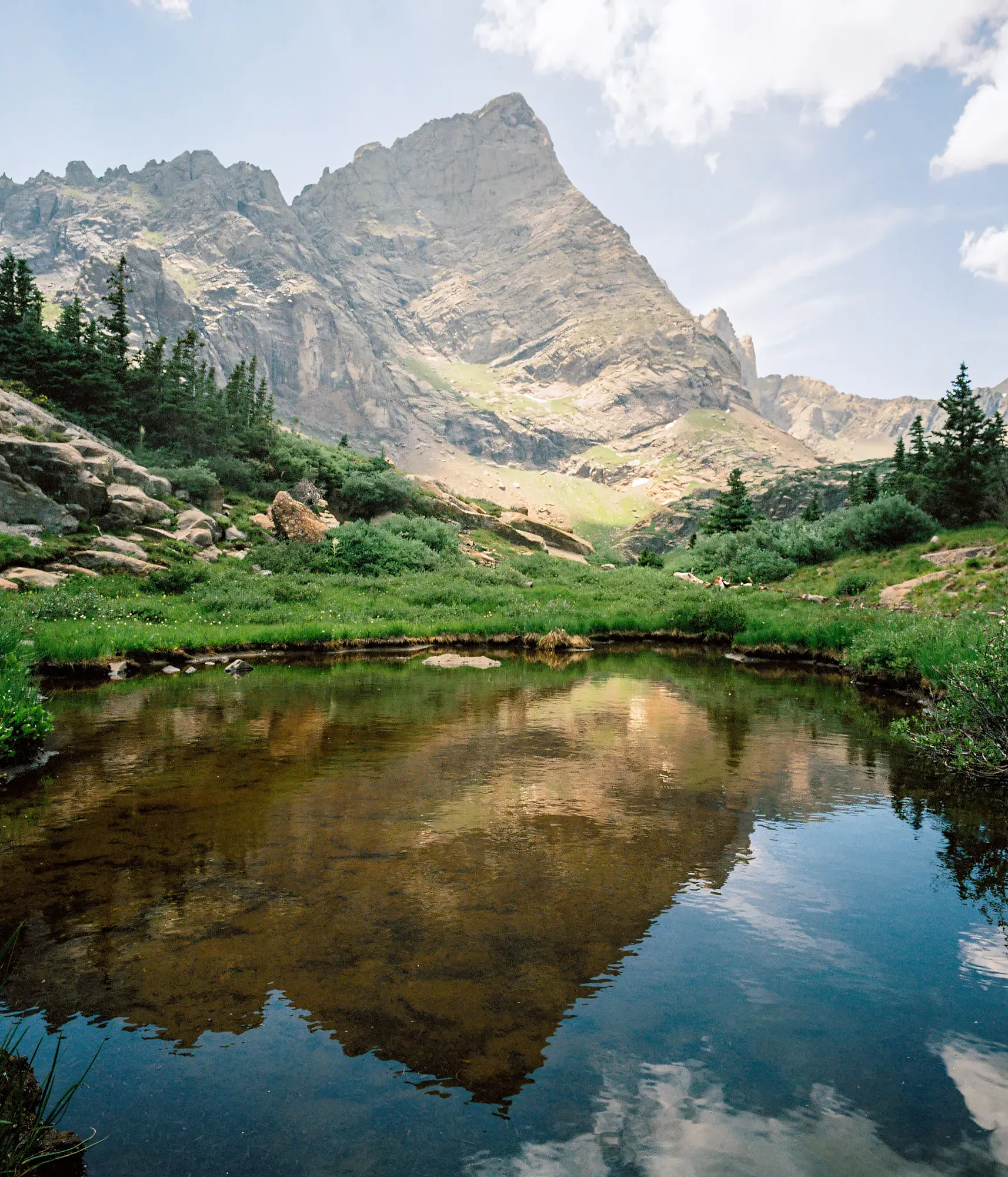 Still alpine pond reflecting jagged mountain peak surrounded by green meadow and scattered evergreens.