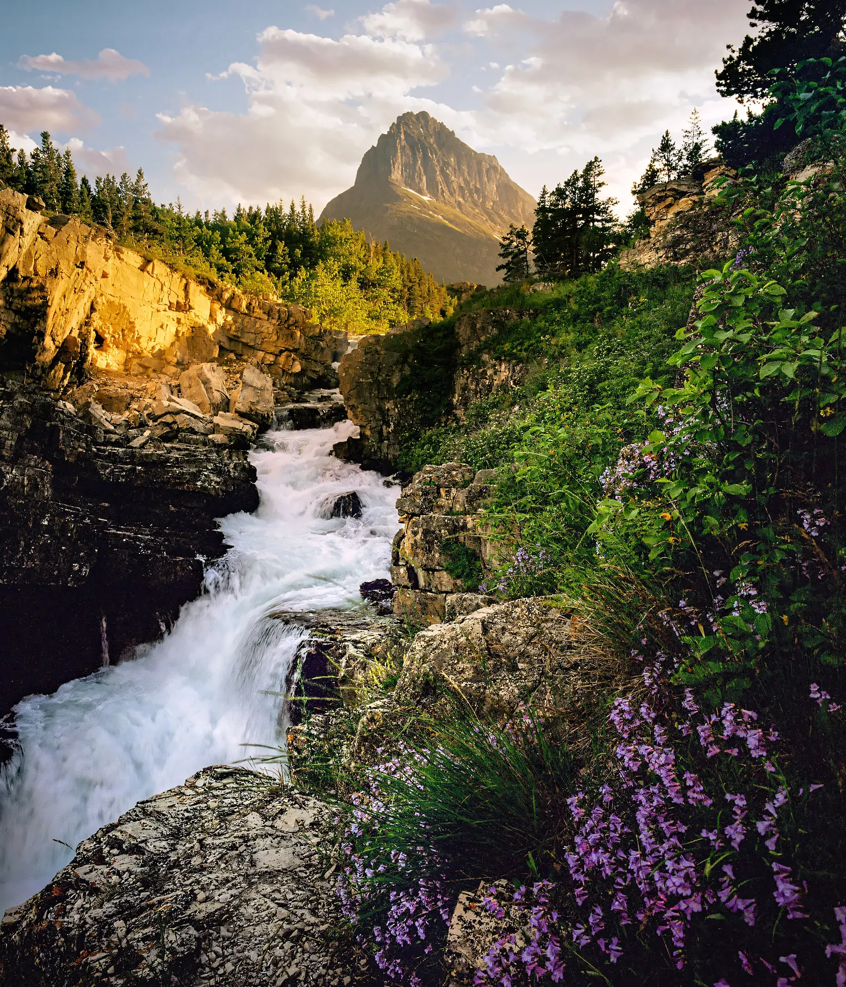Rushing waterfall cascading over dark rocks with purple wildflowers and triangular mountain peak beyond.