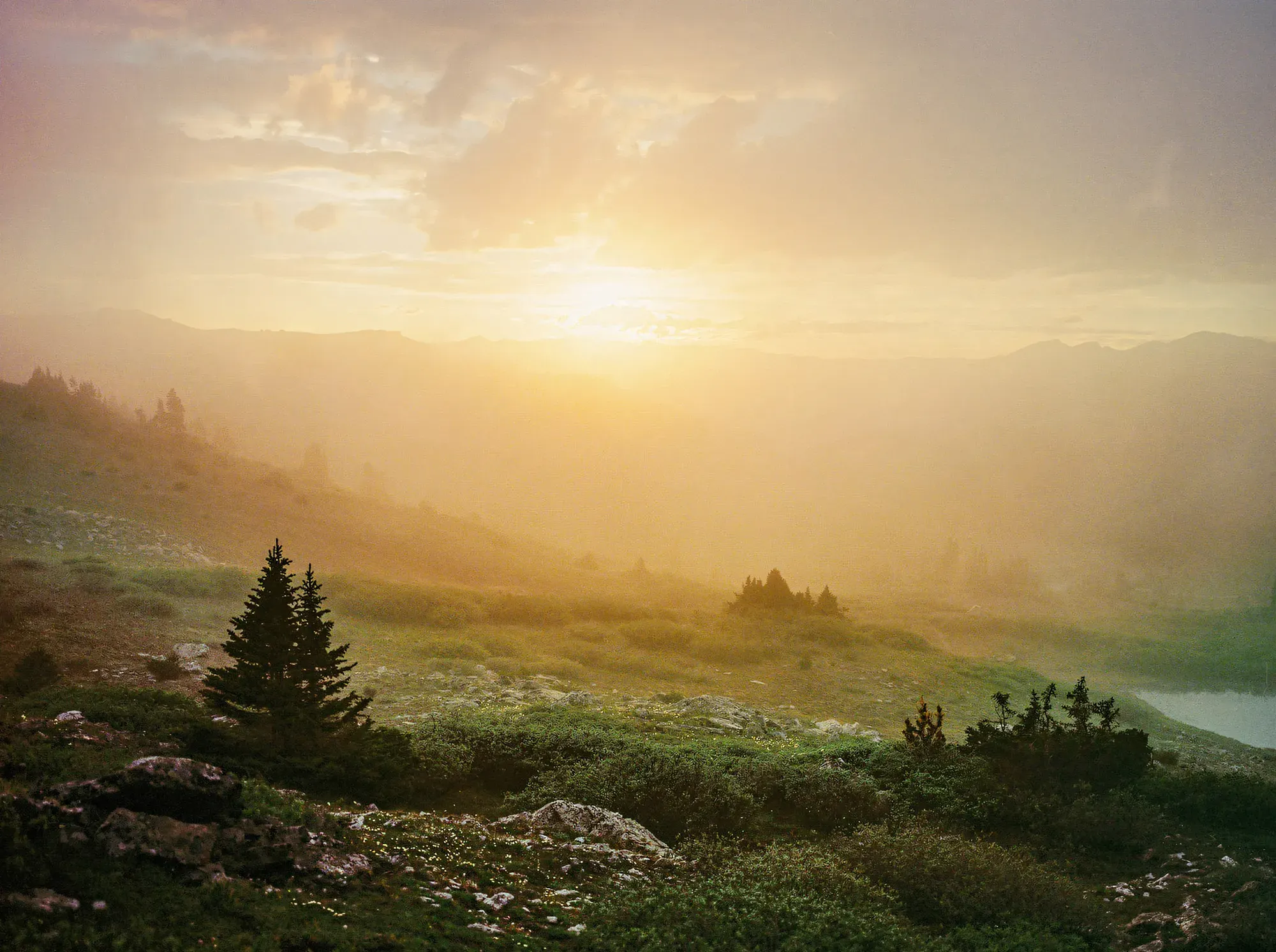 Mountain valley filled with golden morning mist and scattered evergreen trees with distant ranges visible.