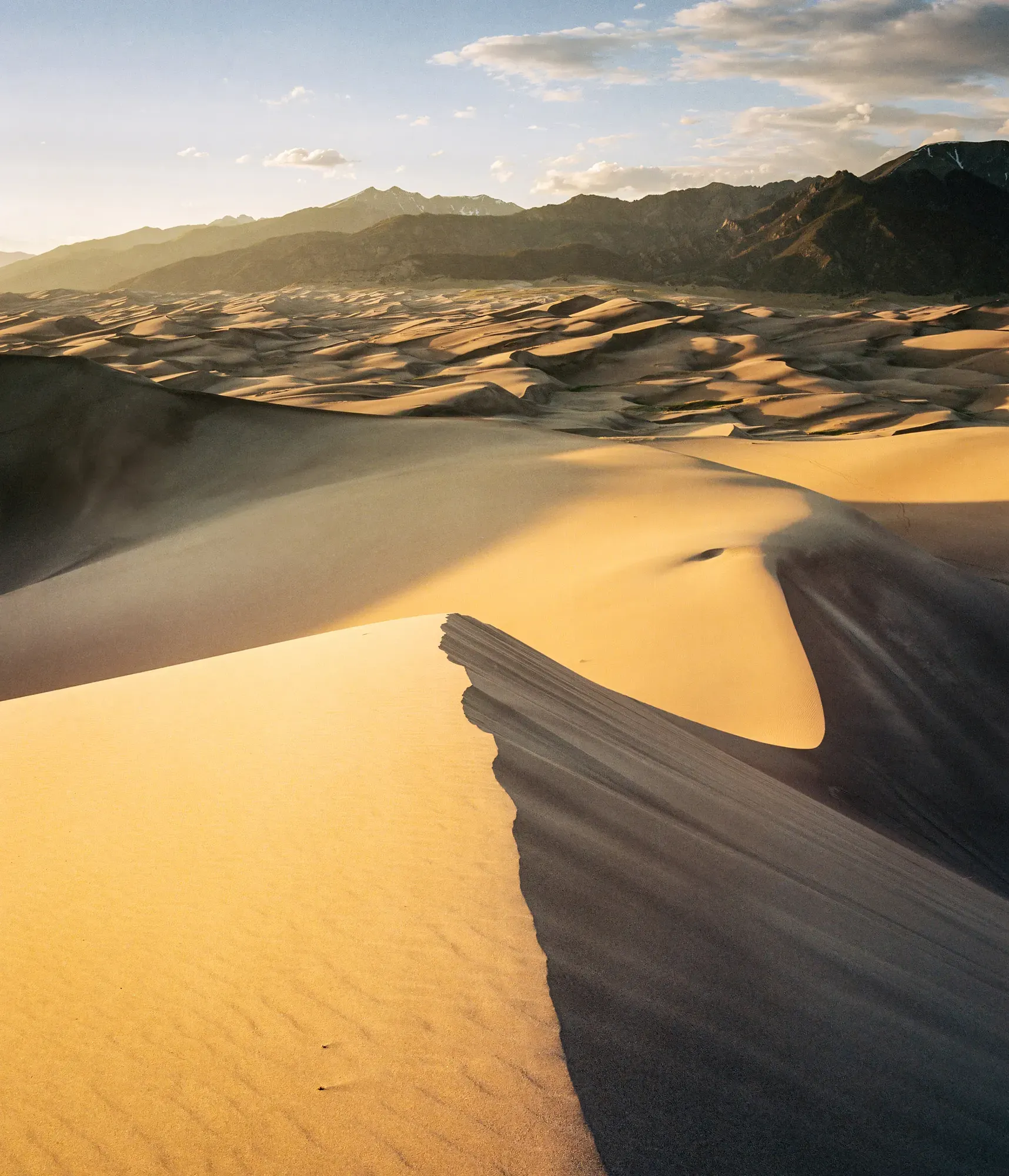 Rolling sand dunes casting sharp shadows with mountain range rising in distance under blue sky.