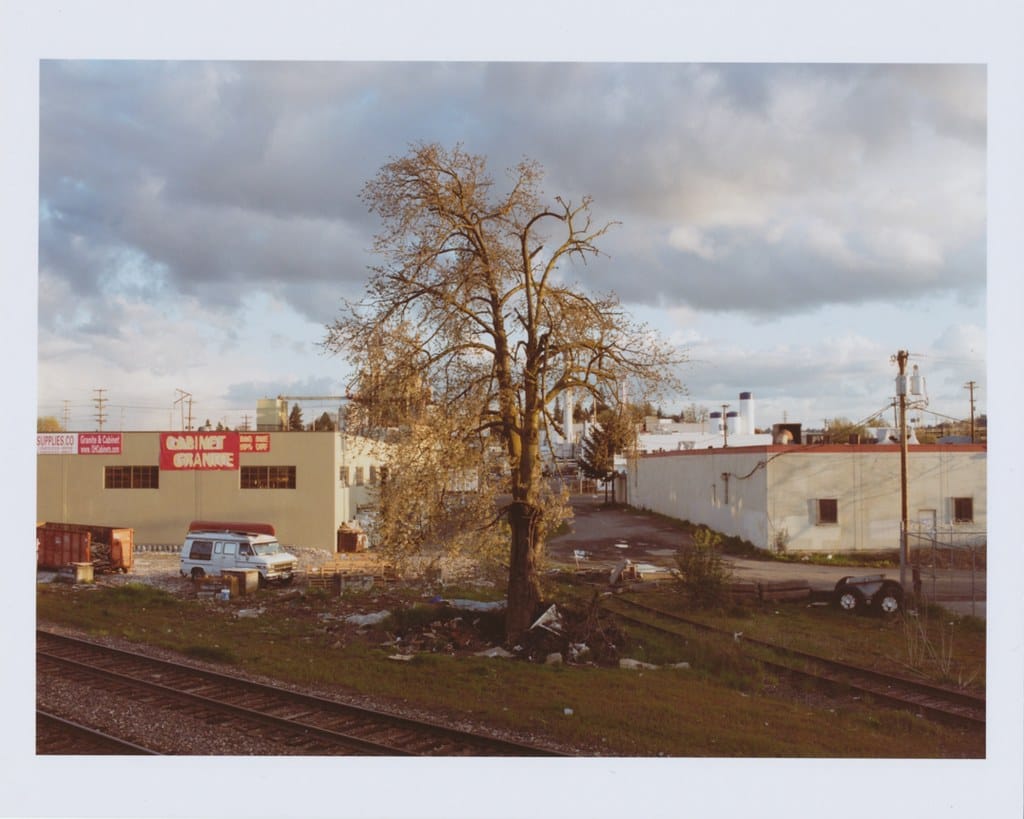 Bare tree in industrial lot with railroad tracks and warehouse.