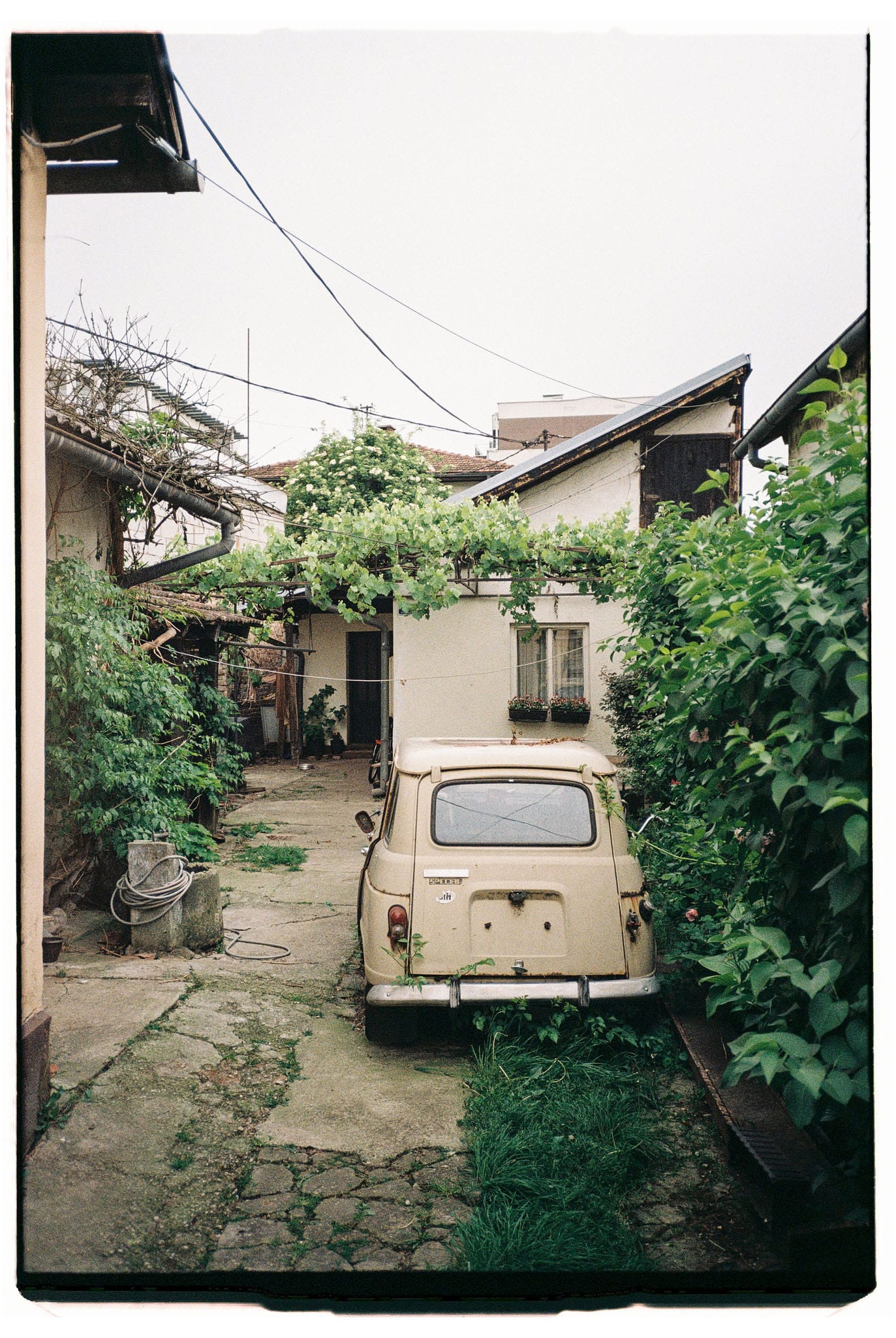 Vintage cream-colored compact car in narrow courtyard with climbing vines and residential buildings.